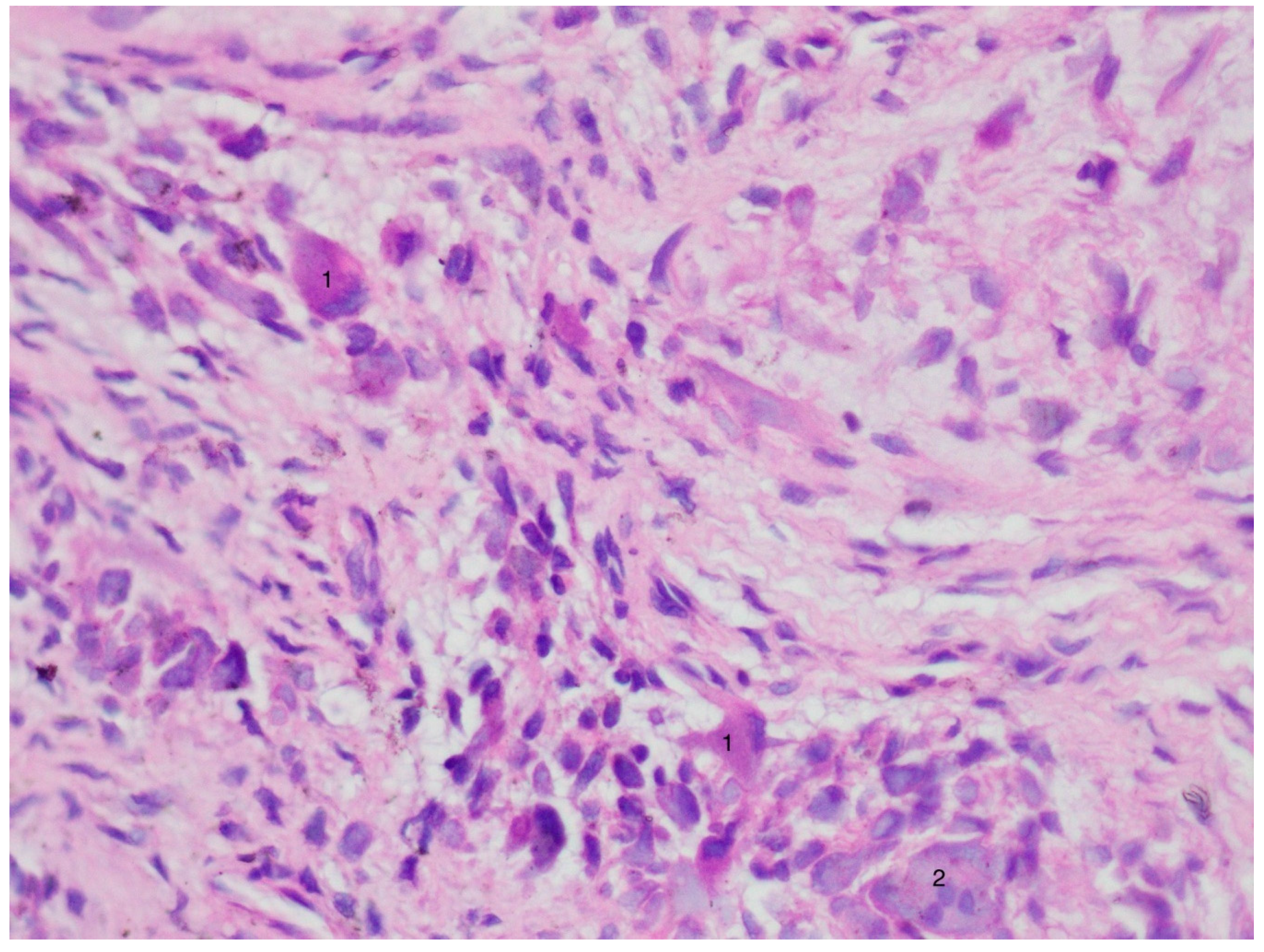 Applsci 11 04373 g005 Applsci 11 04373 g005