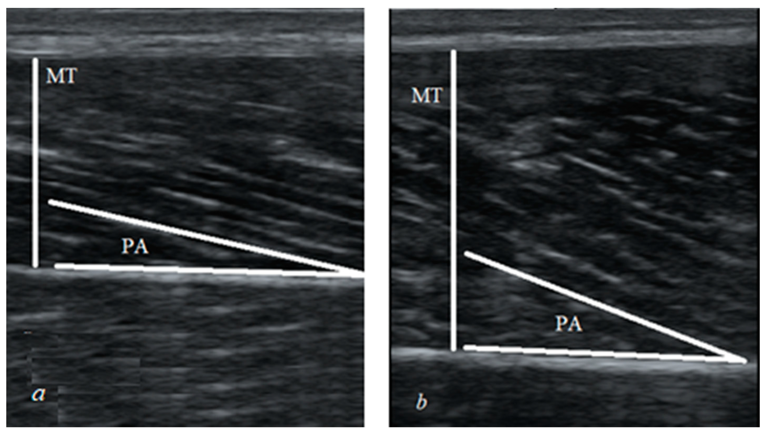 Applsci 11 04394 g002