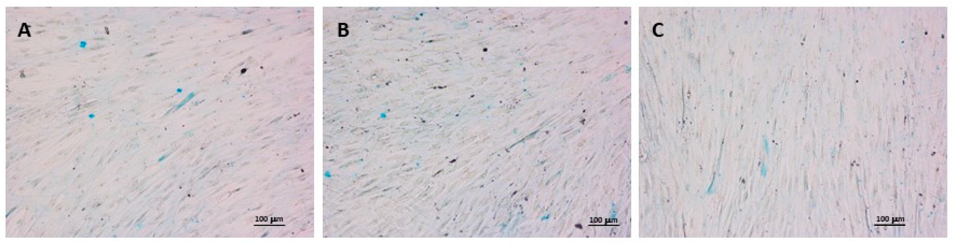 Applsci 11 04405 g004