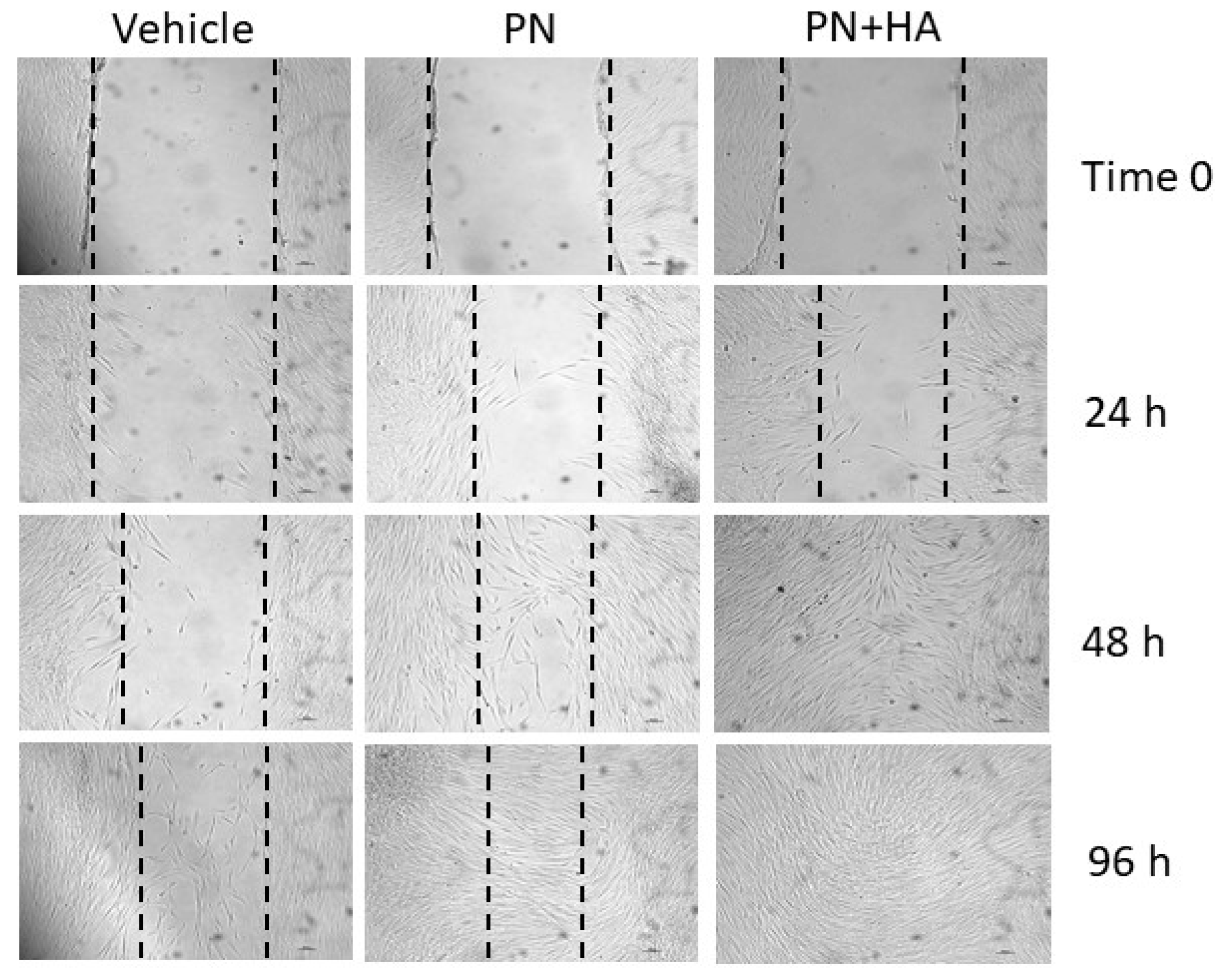 Applsci 11 04405 g0a2