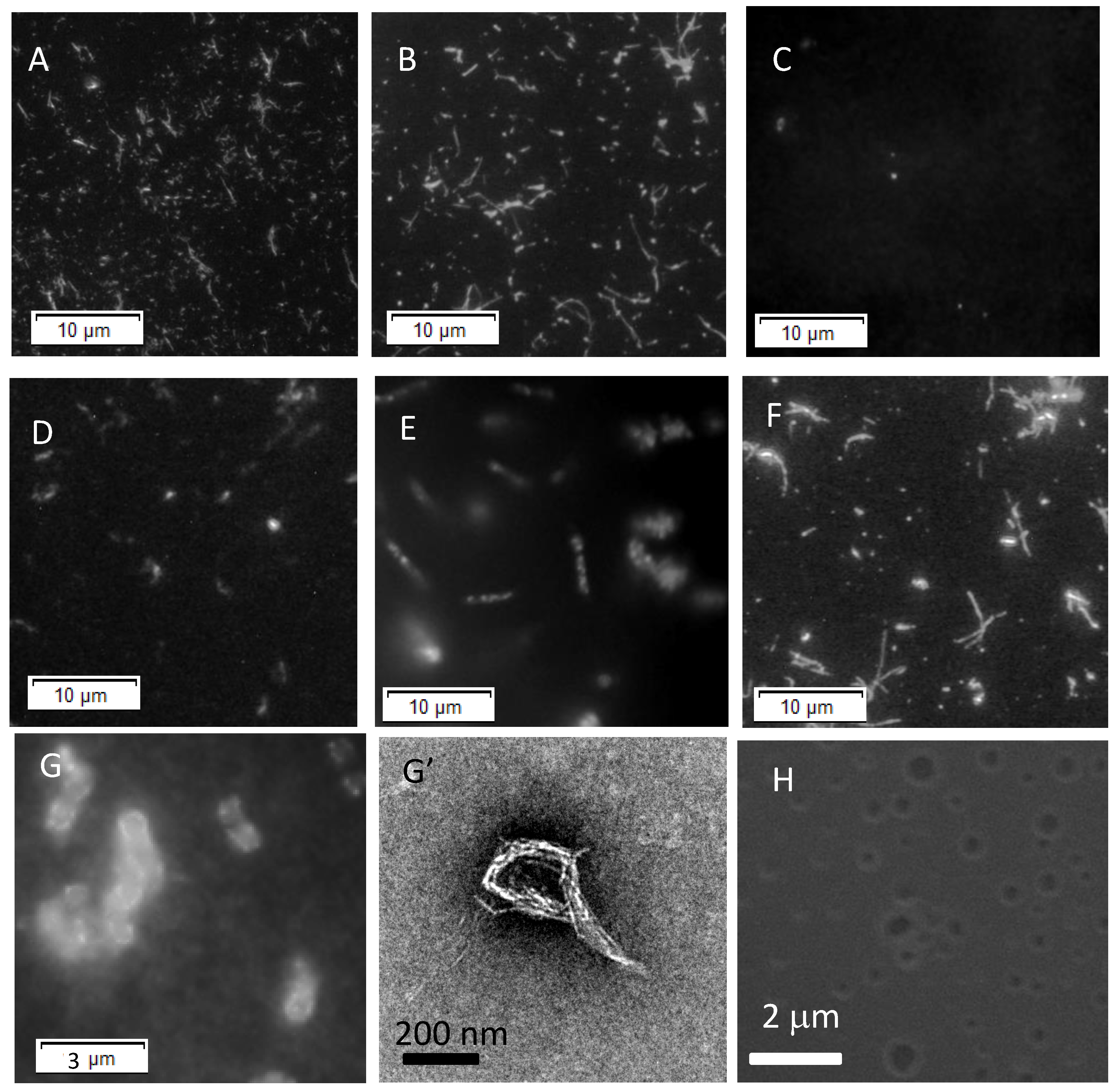 Applsci 11 04408 g002