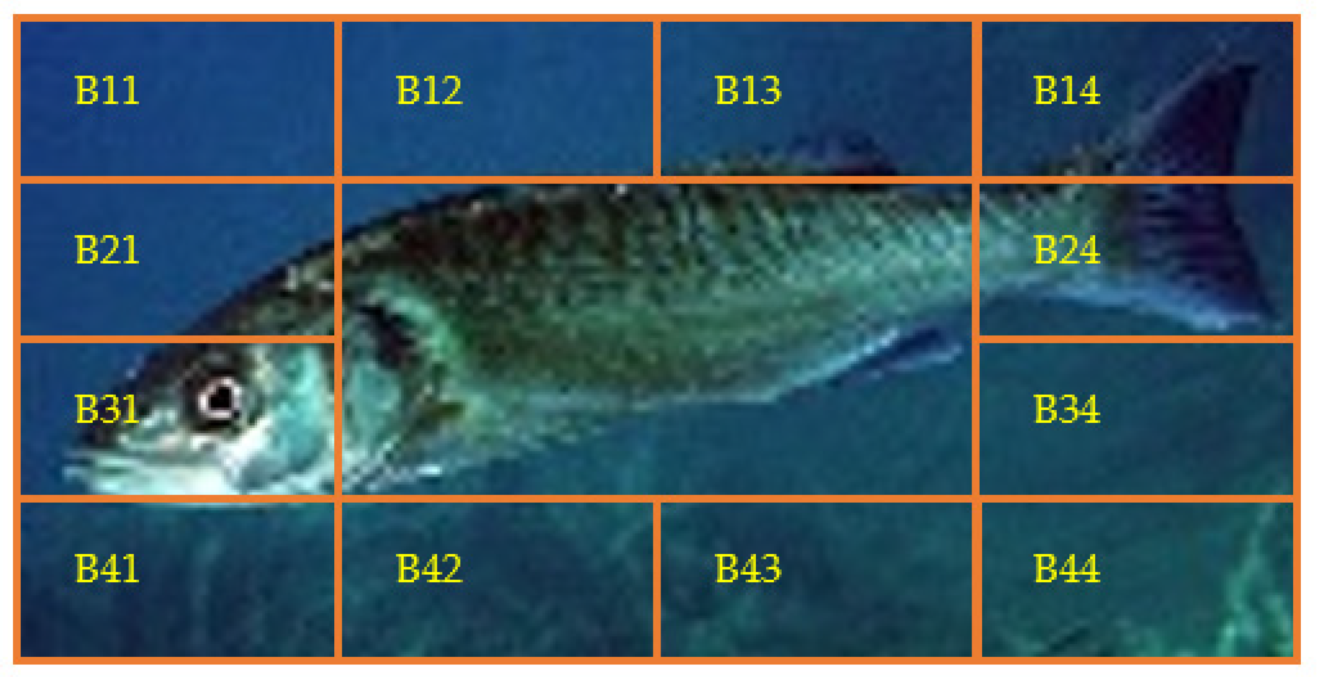 Applsci 11 04416 g002