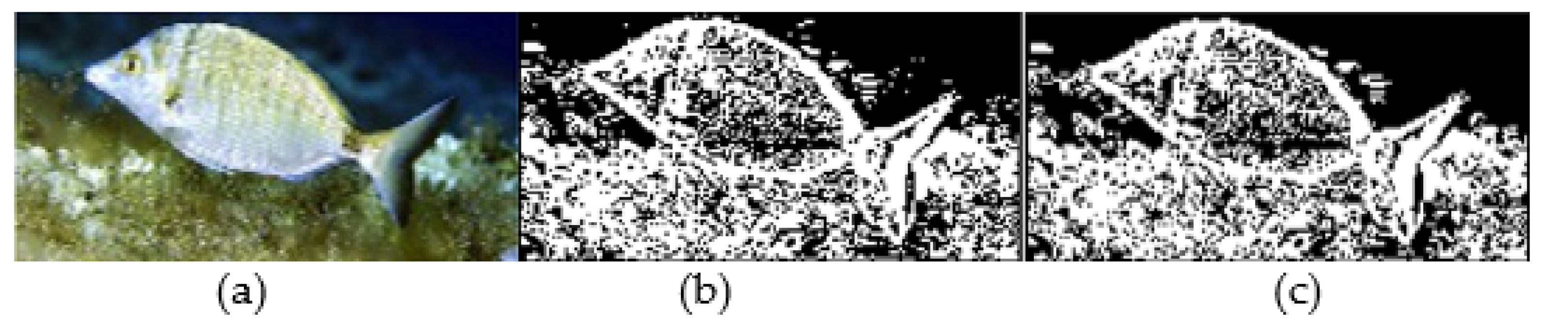 Applsci 11 04416 g003