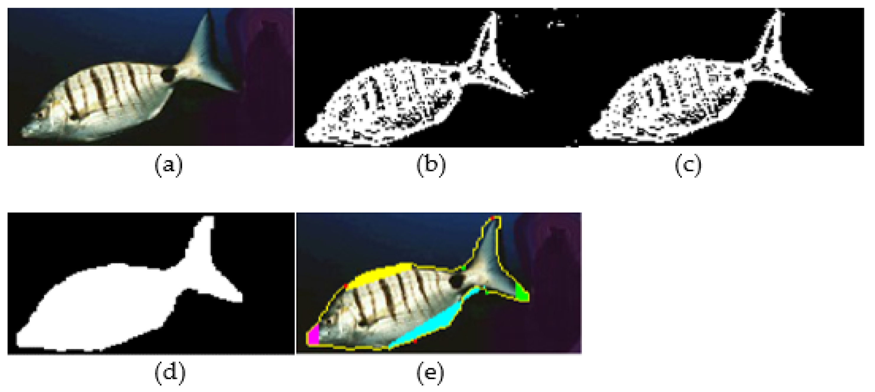 Applsci 11 04416 g005