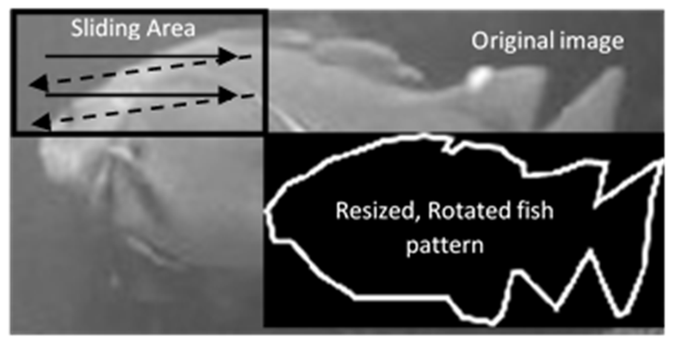 Applsci 11 04416 g006