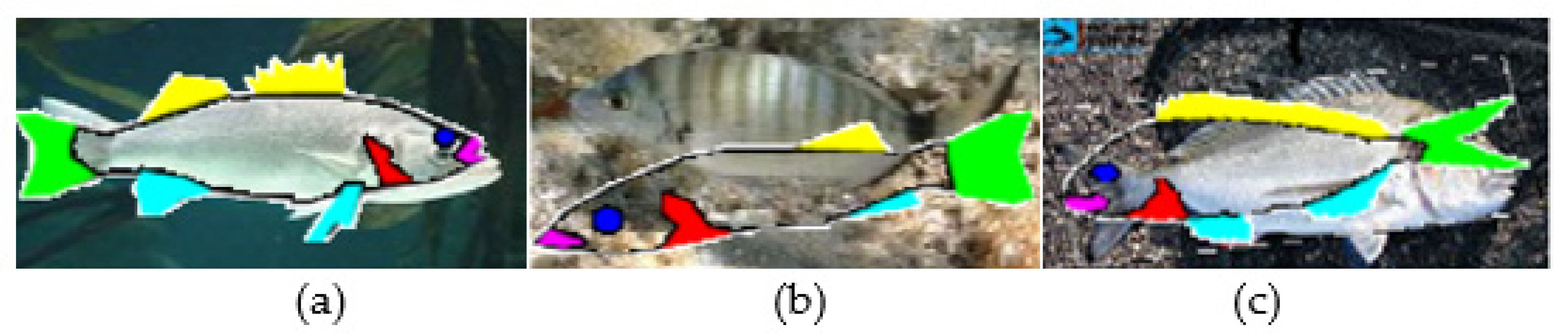 Applsci 11 04416 g010