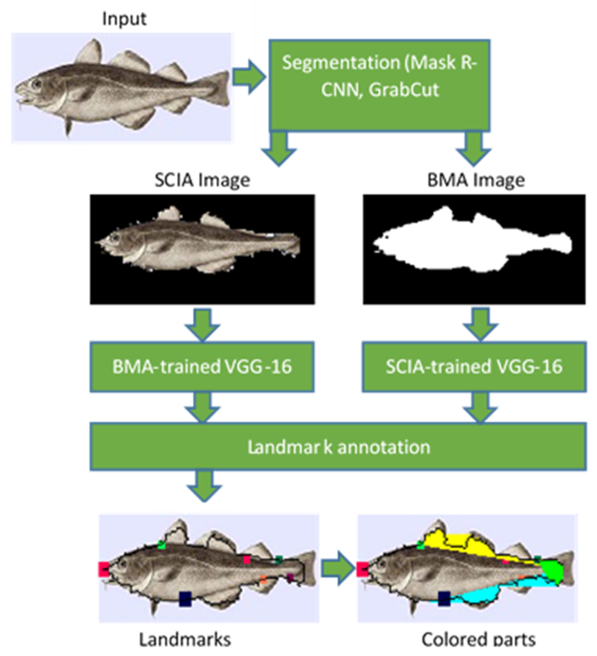 Applsci 11 04416 g011