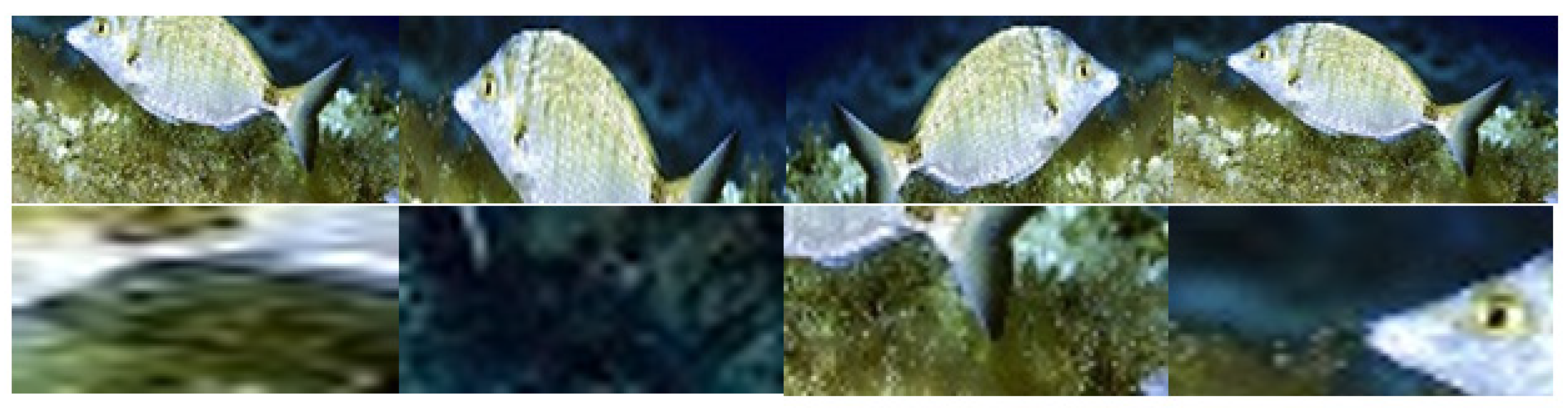 Applsci 11 04416 g012