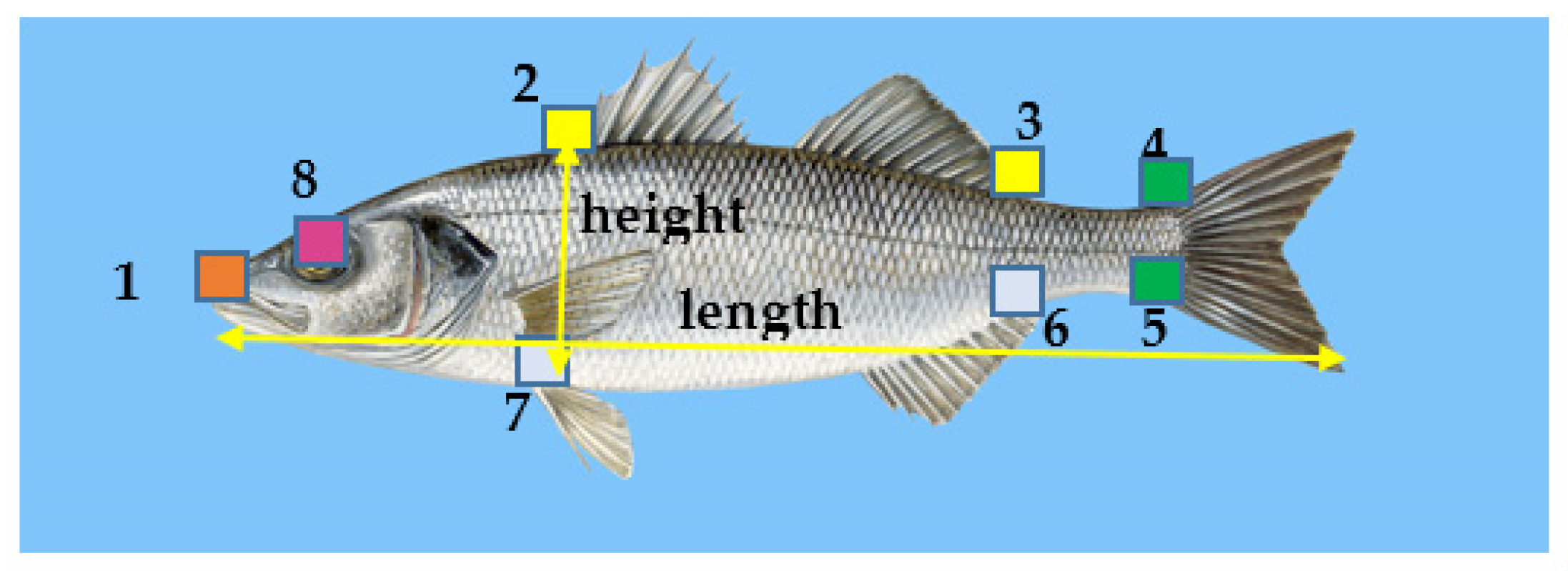 Applsci 11 04416 g013