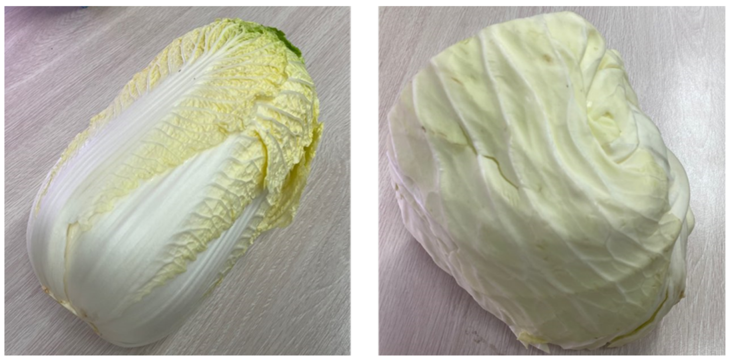 Applsci 11 04493 g001 Applsci 11 04493 g001