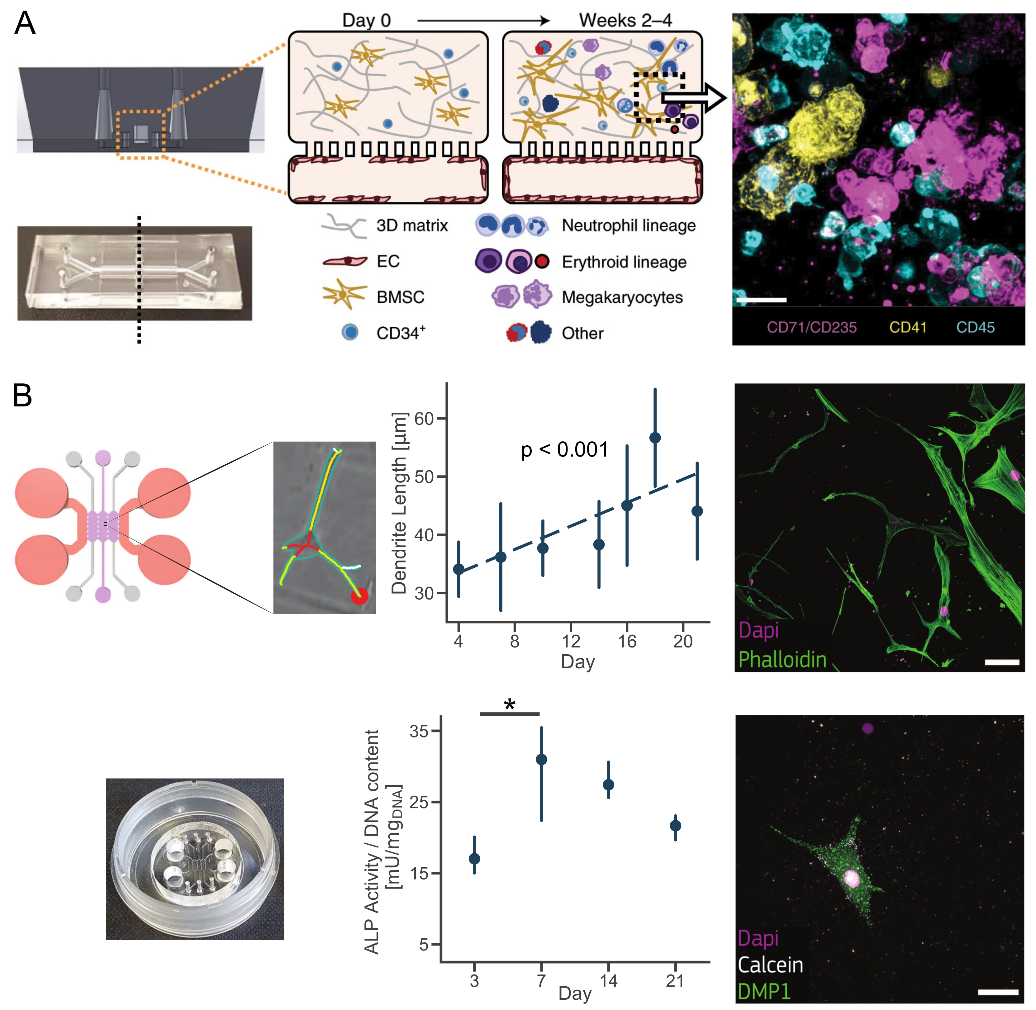Applsci 11 04495 g003