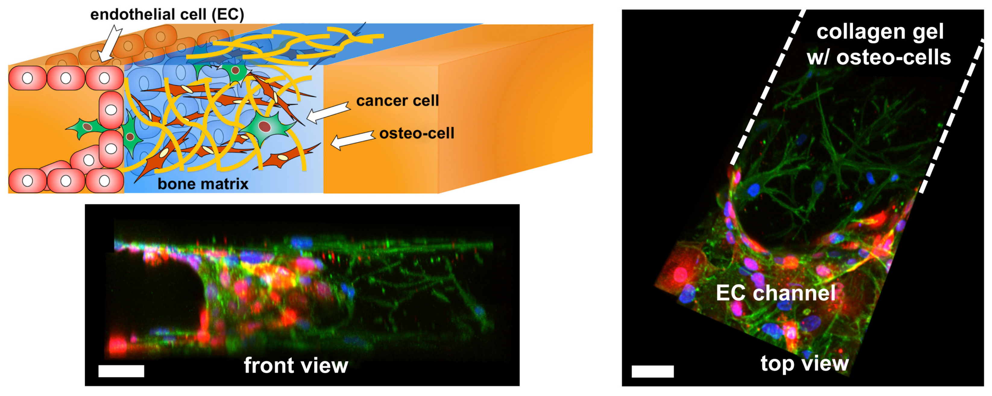 Applsci 11 04495 g004