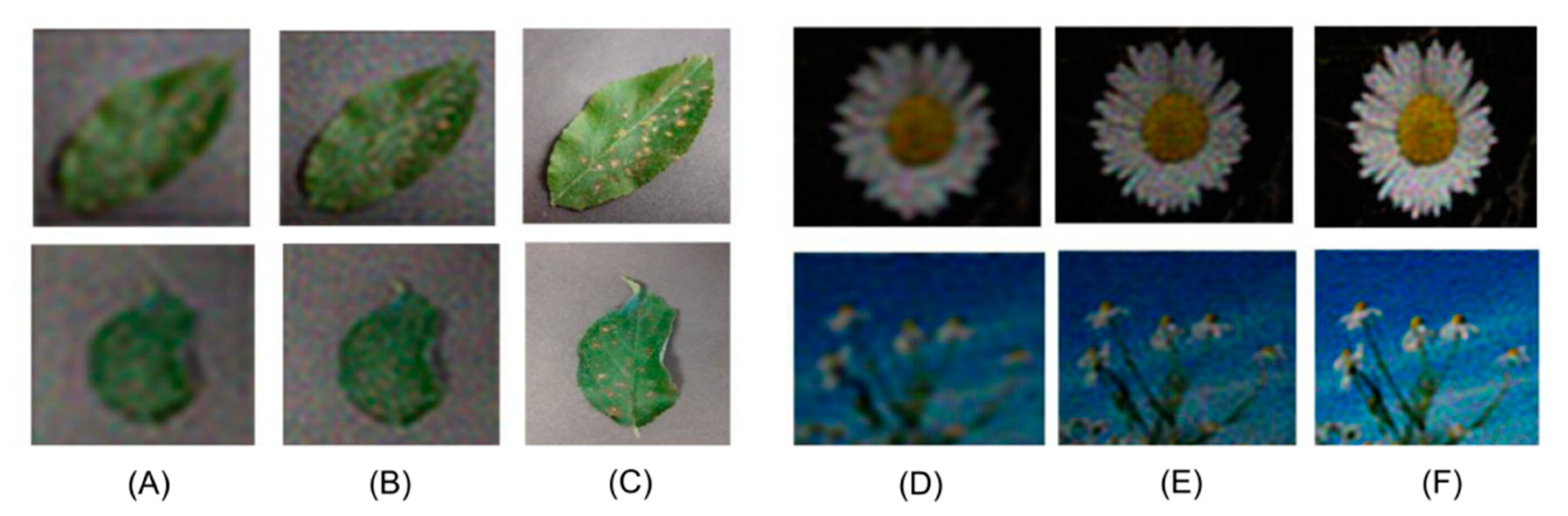 Applsci 11 04500 g010