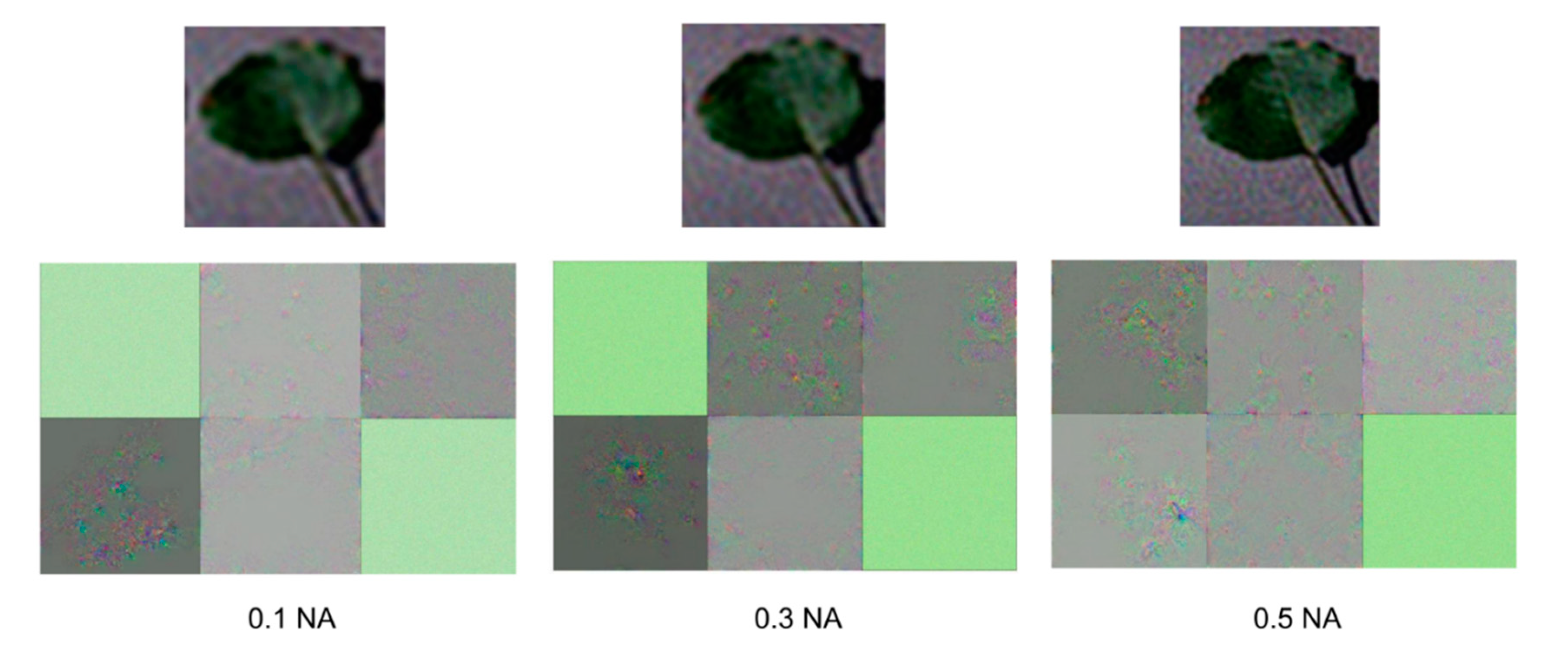 Applsci 11 04500 g012