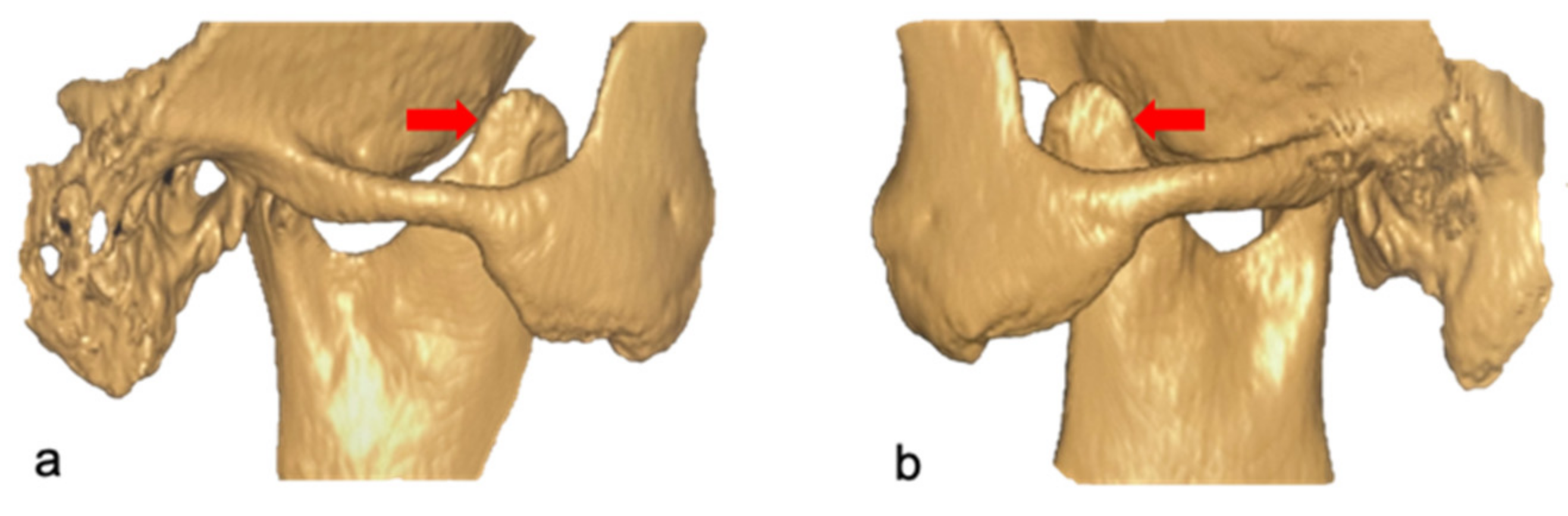Applsci 11 04504 g006 Applsci 11 04504 g006
