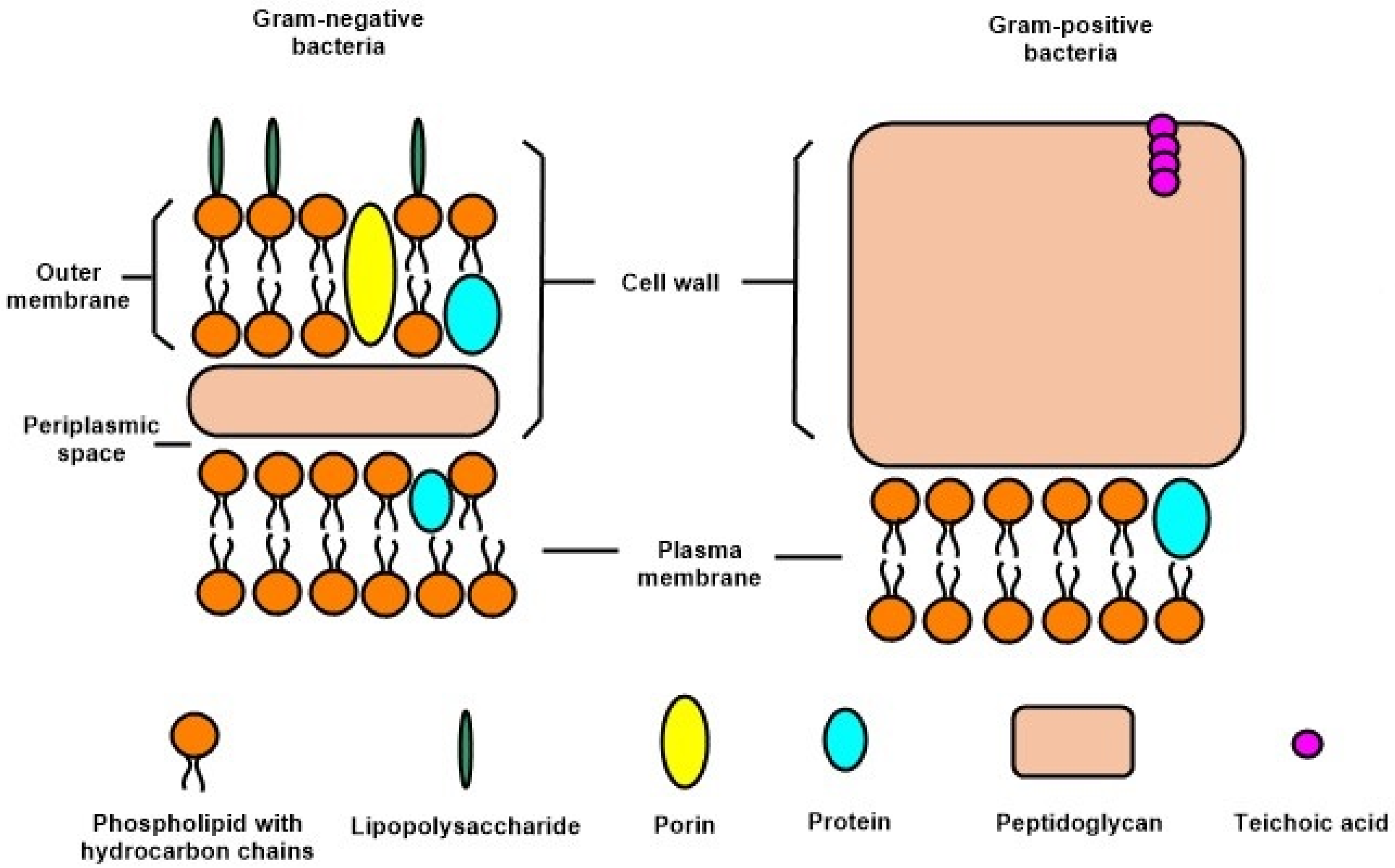 Applsci 11 04520 g003 Applsci 11 04520 g003