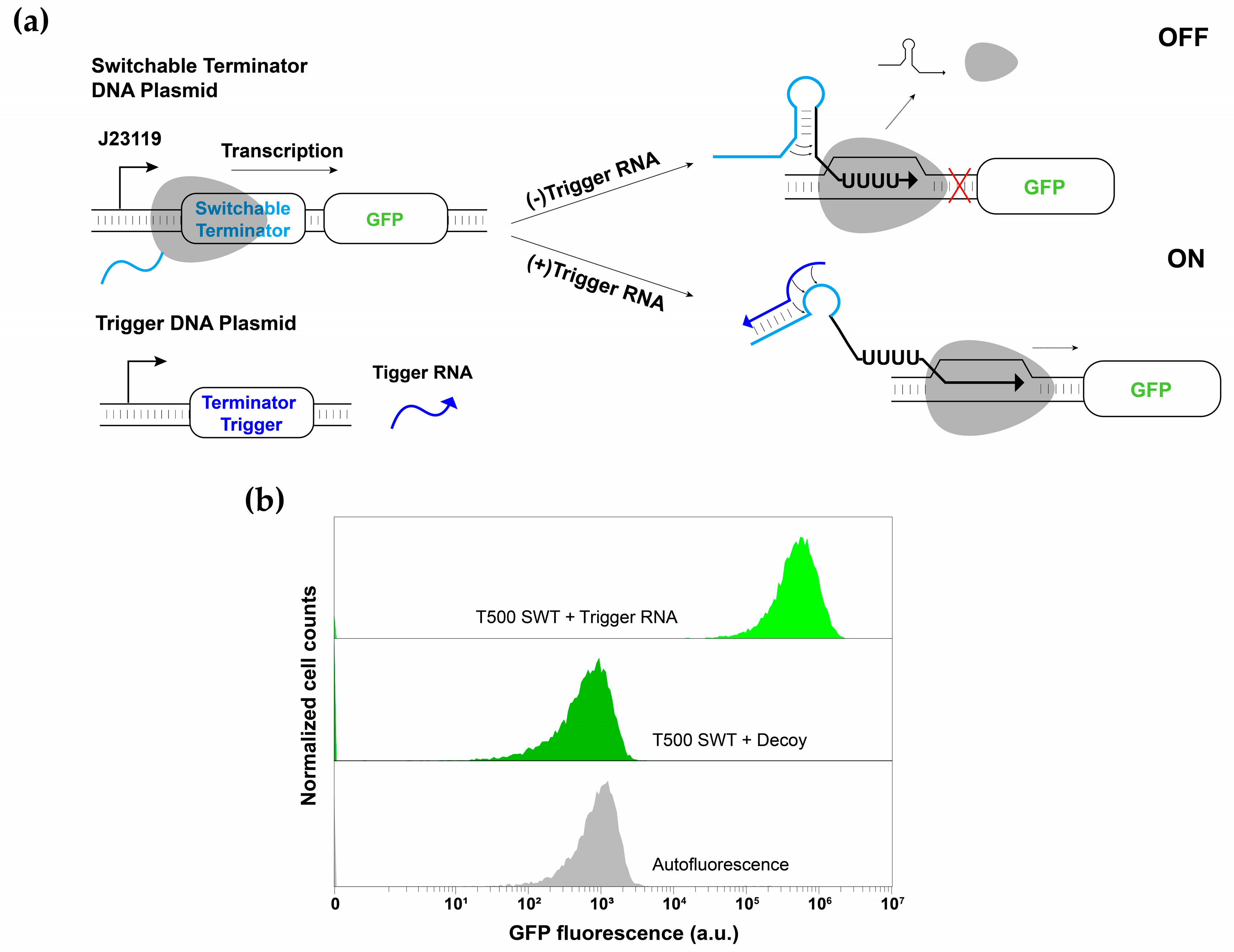 Applsci 11 04532 g002