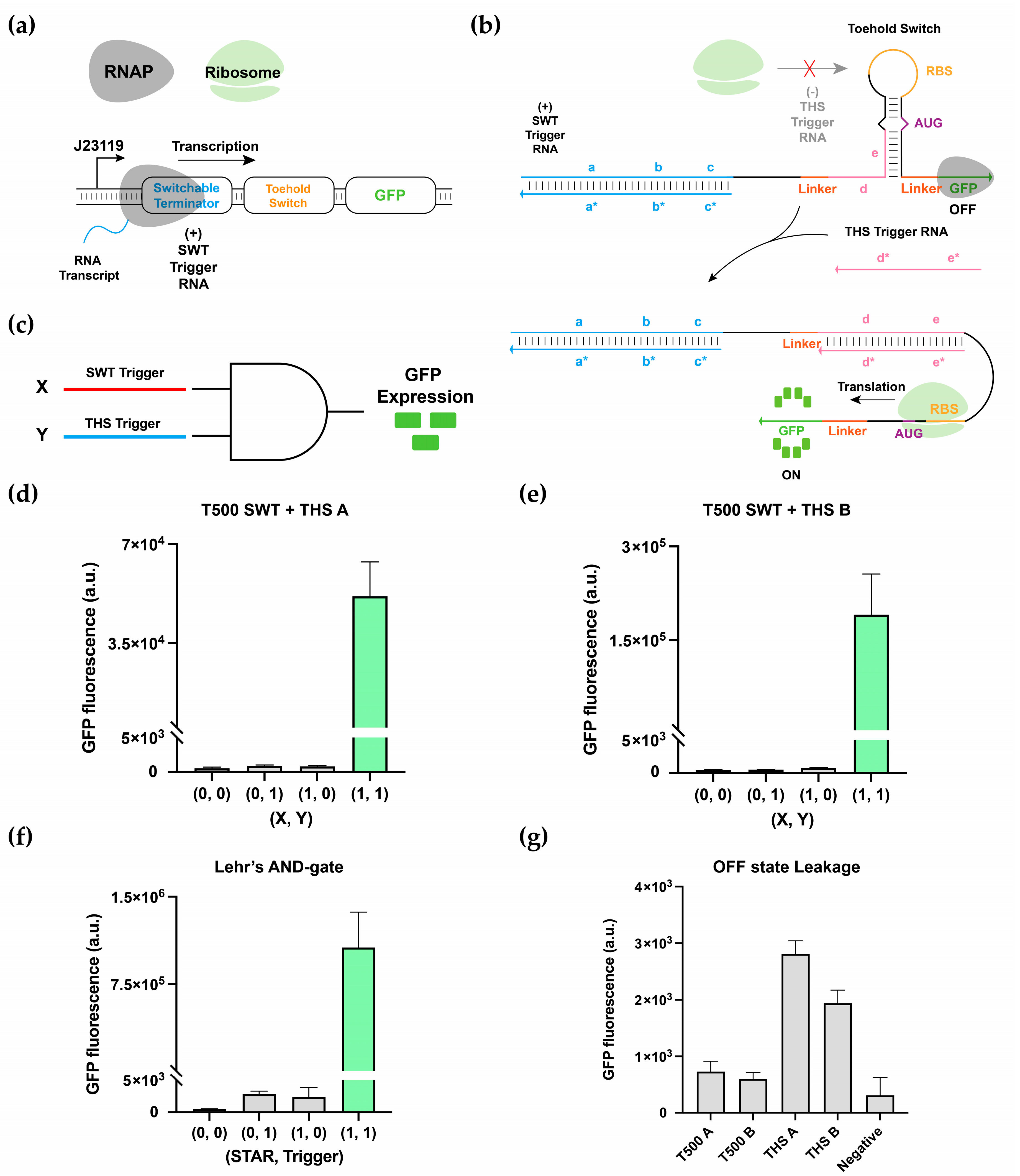 Applsci 11 04532 g005