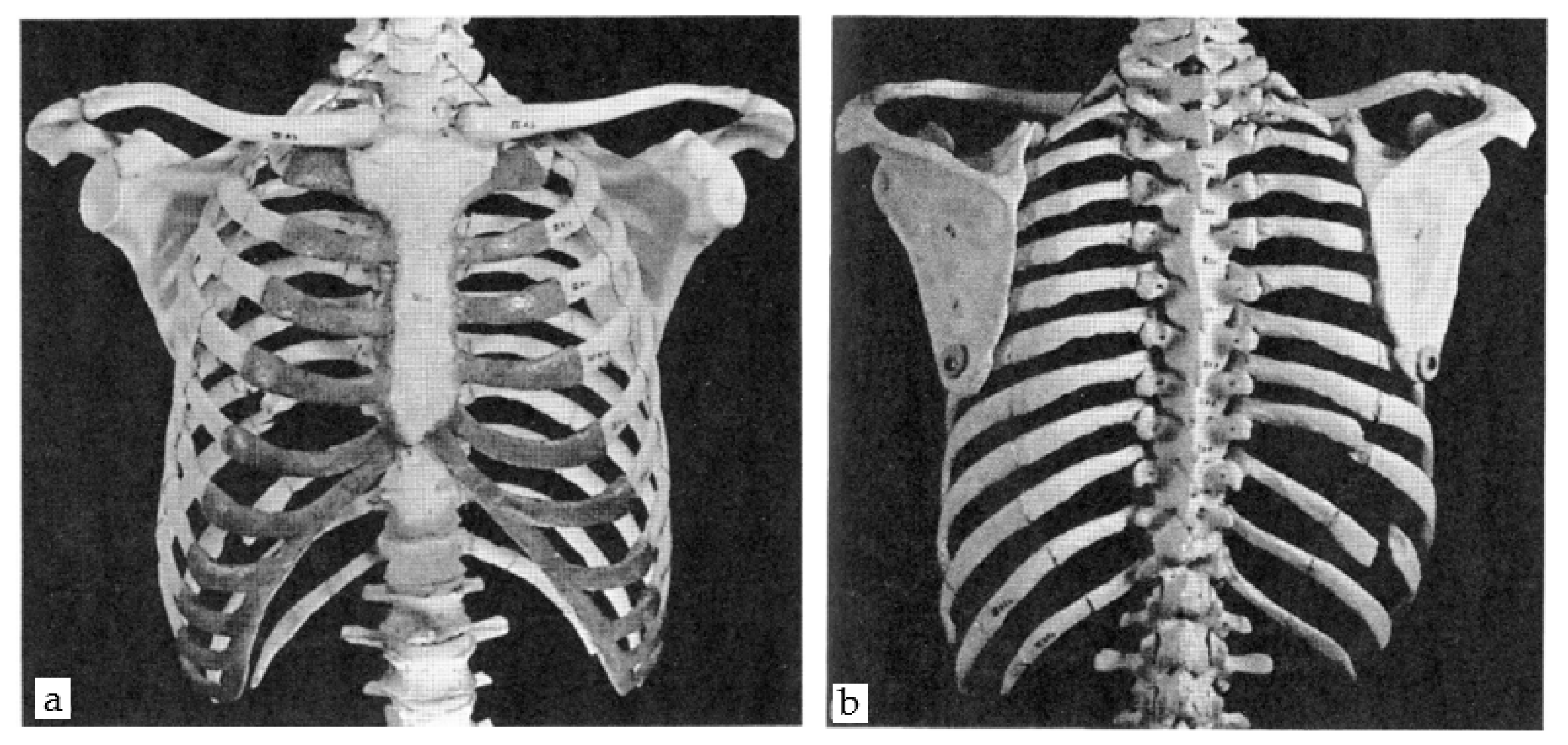 Applsci 11 04545 g001 Applsci 11 04545 g001