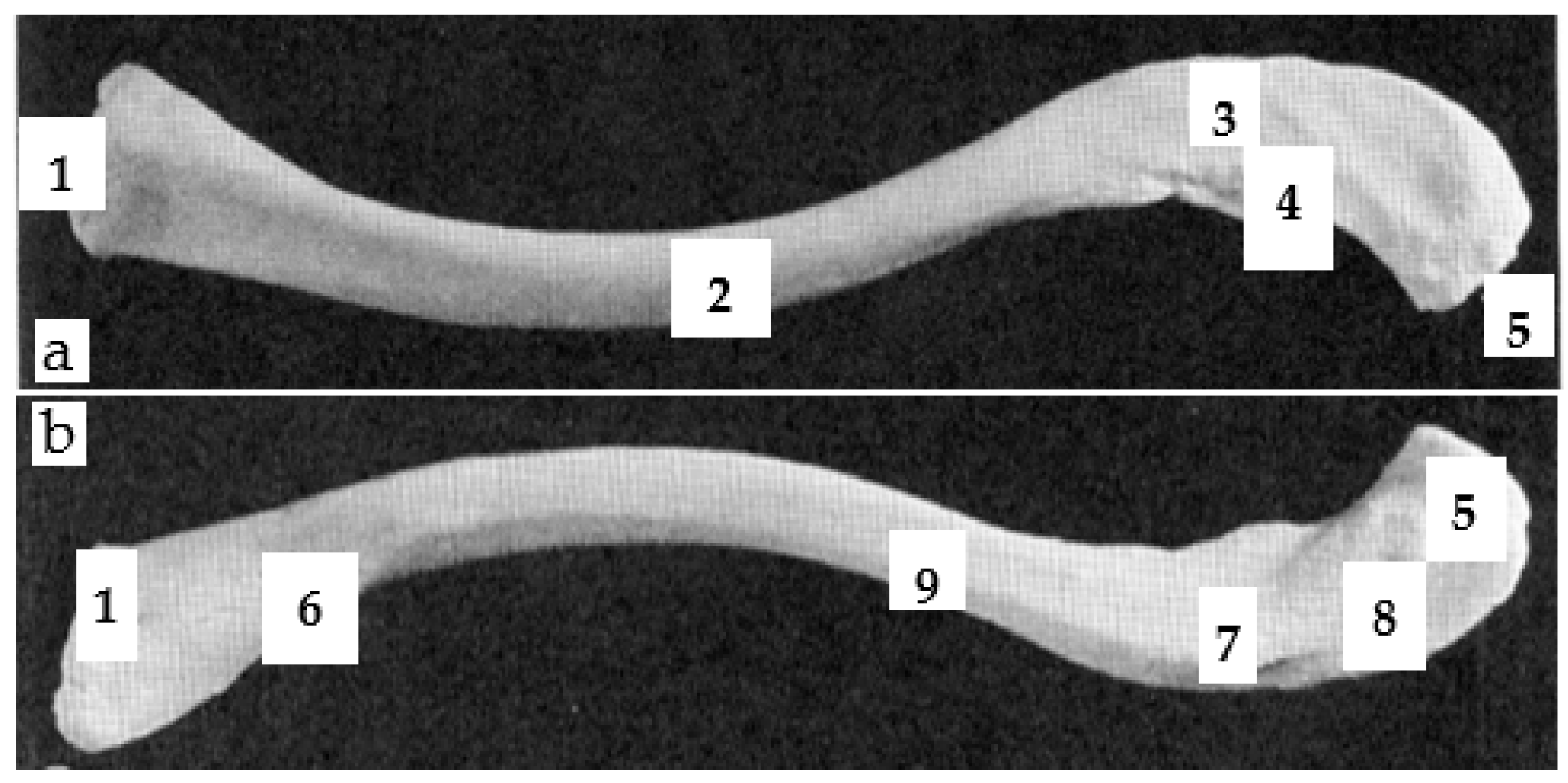 Applsci 11 04545 g004 Applsci 11 04545 g004