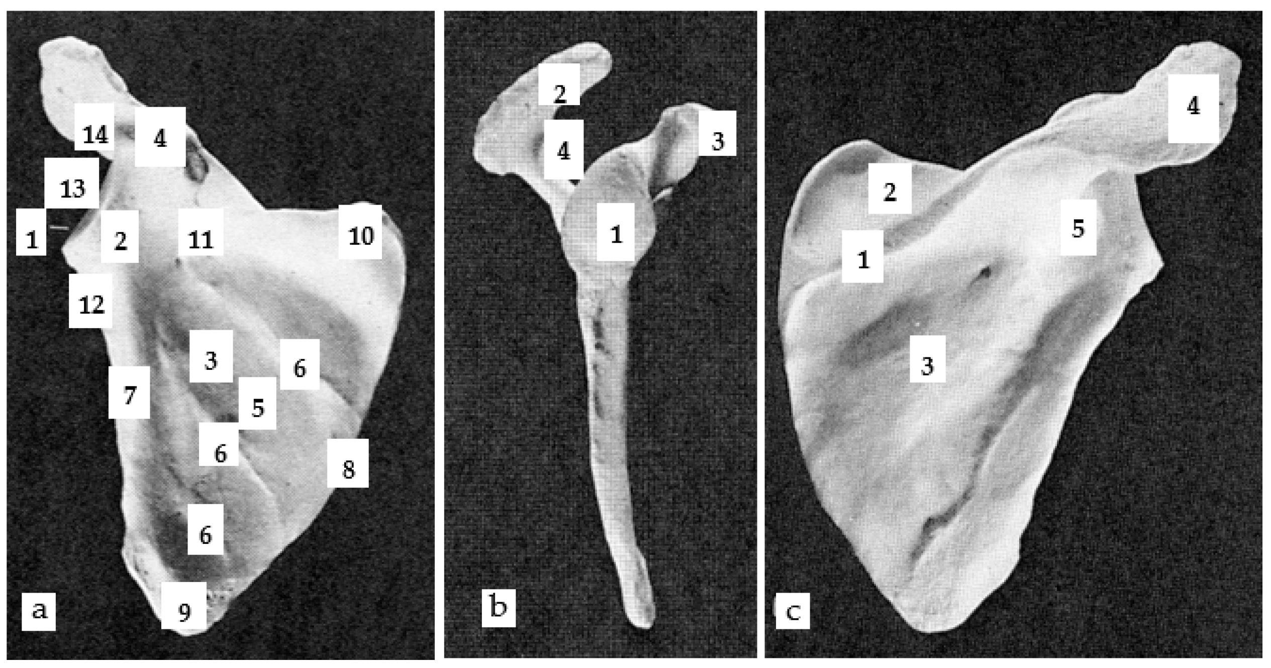 Applsci 11 04545 g005 Applsci 11 04545 g005