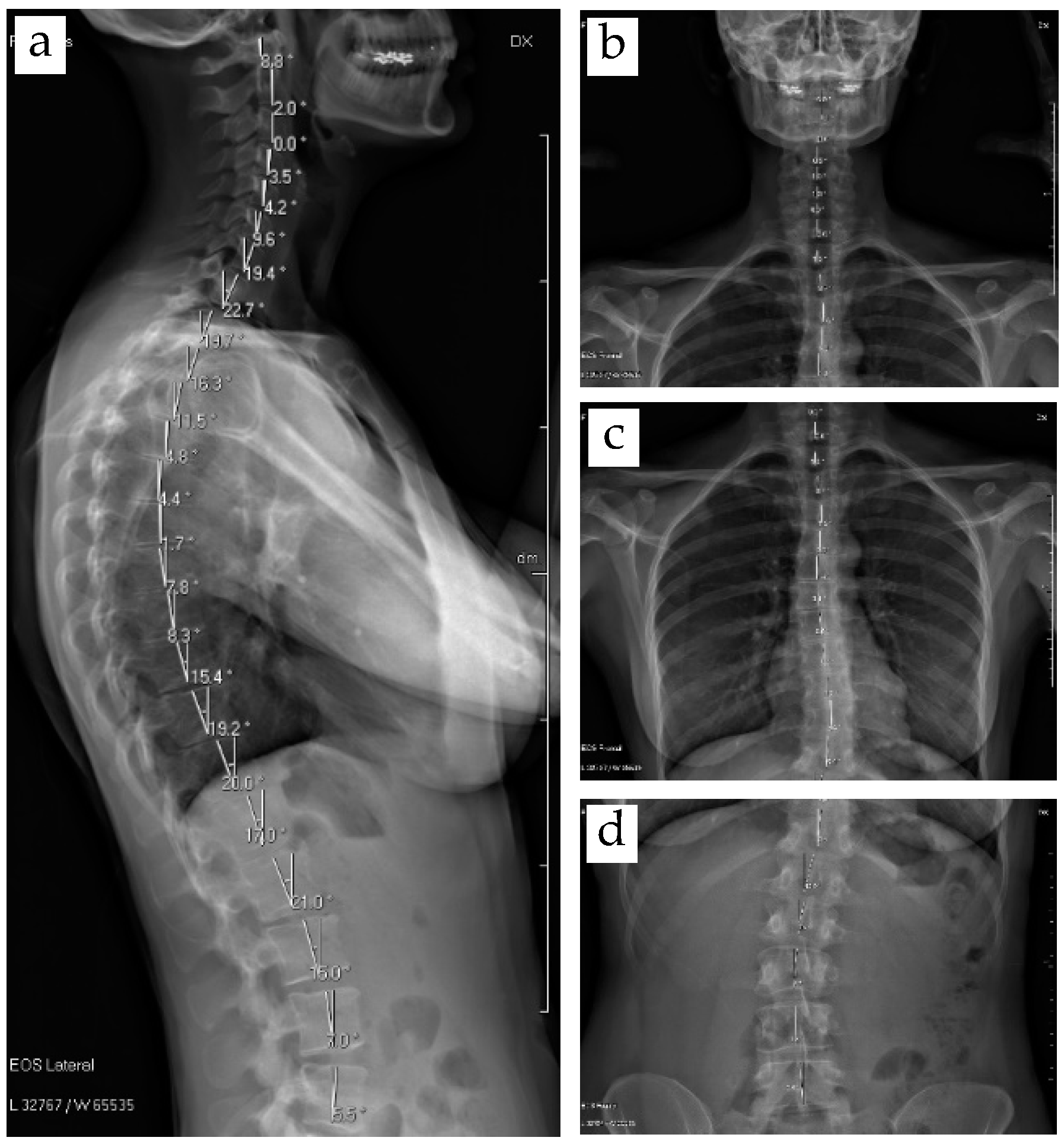 Applsci 11 04545 g020 Applsci 11 04545 g020