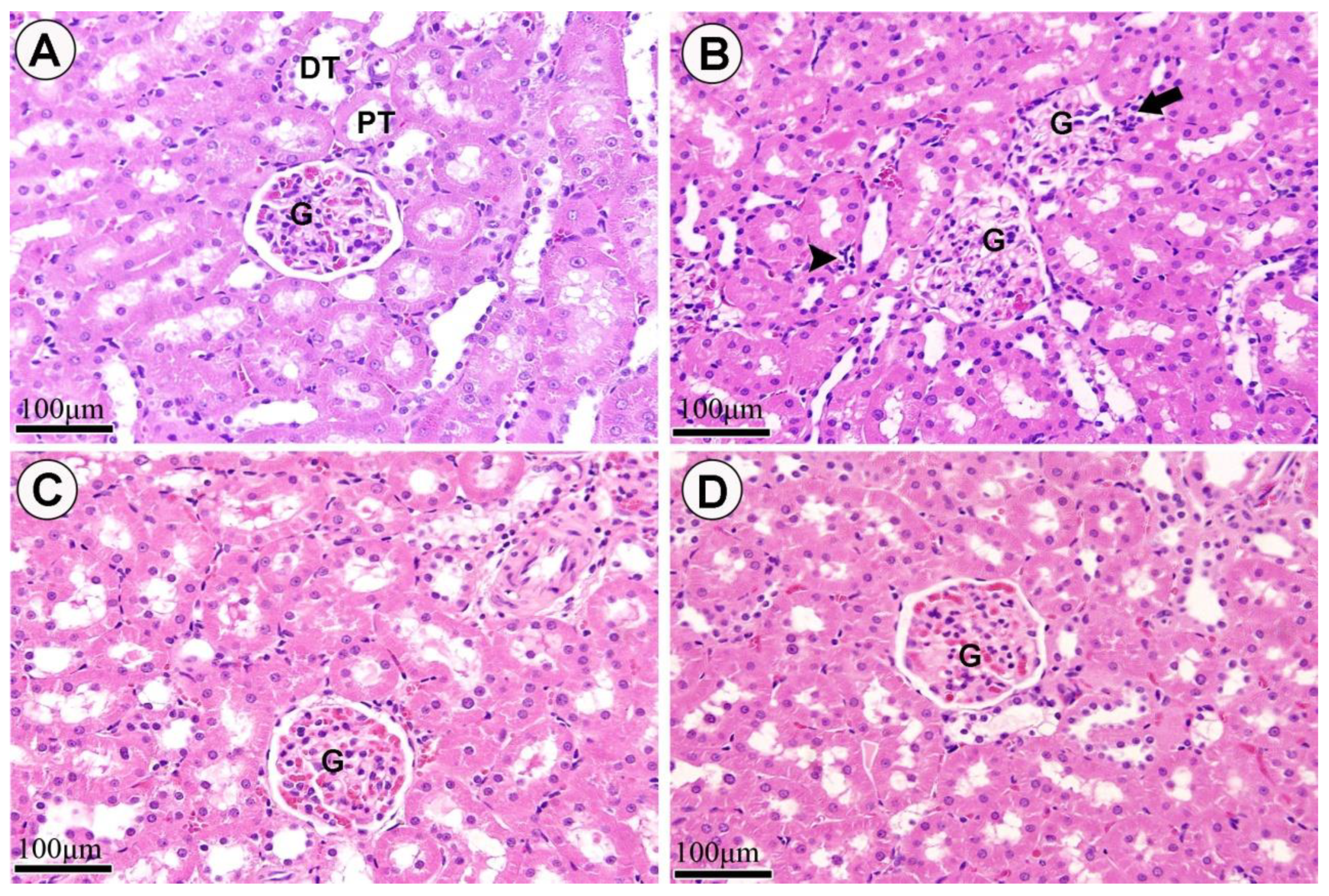 Applsci 11 04548 g007