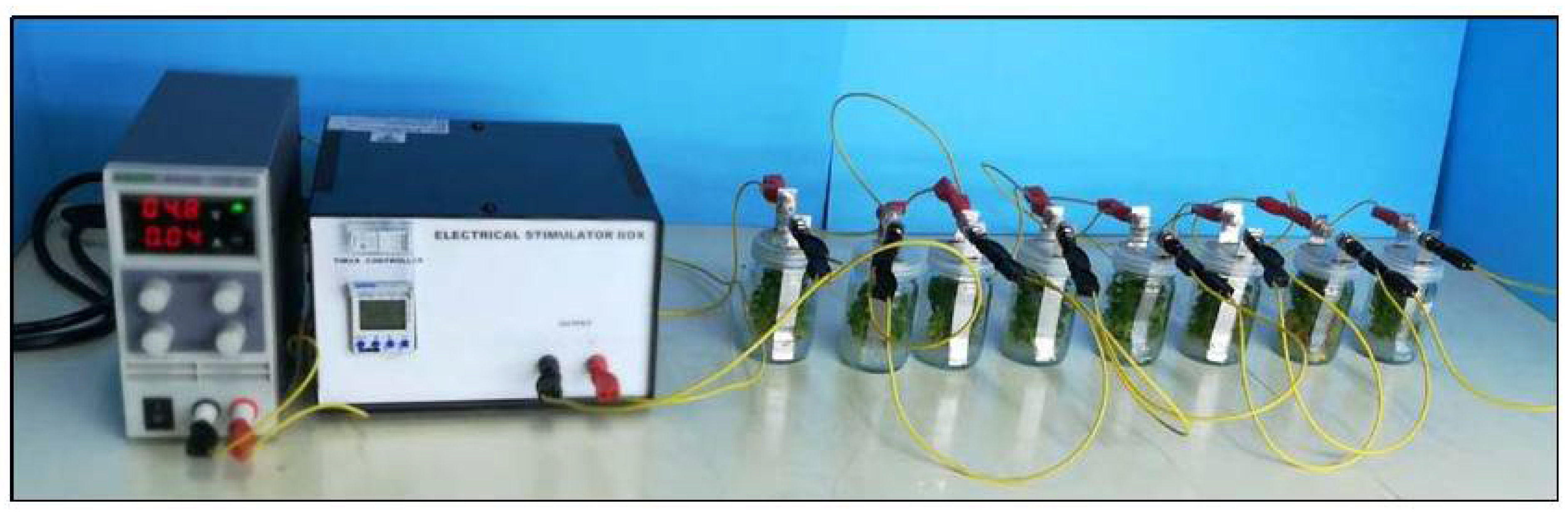 Applsci 11 04555 g002 Applsci 11 04555 g002