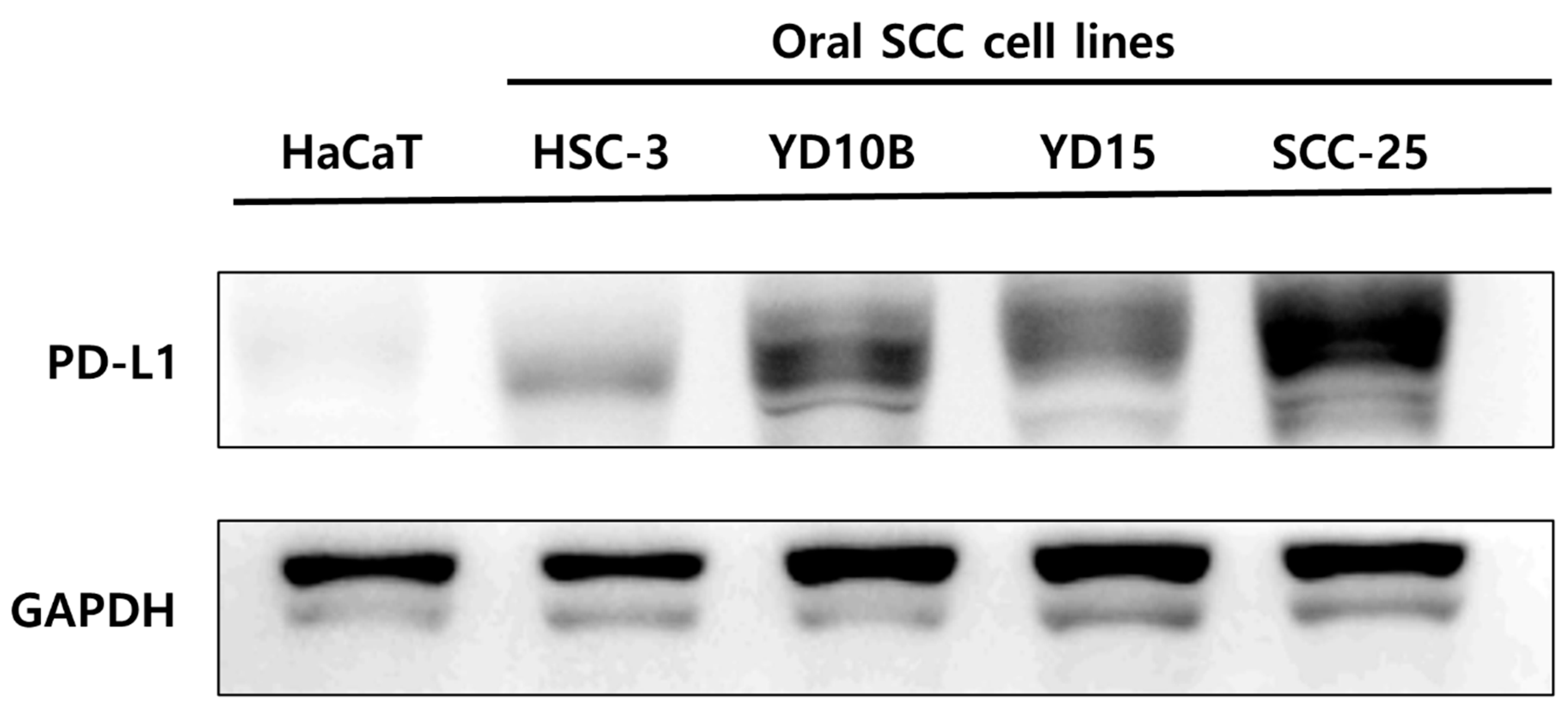 Applsci 11 04559 g002 Applsci 11 04559 g002