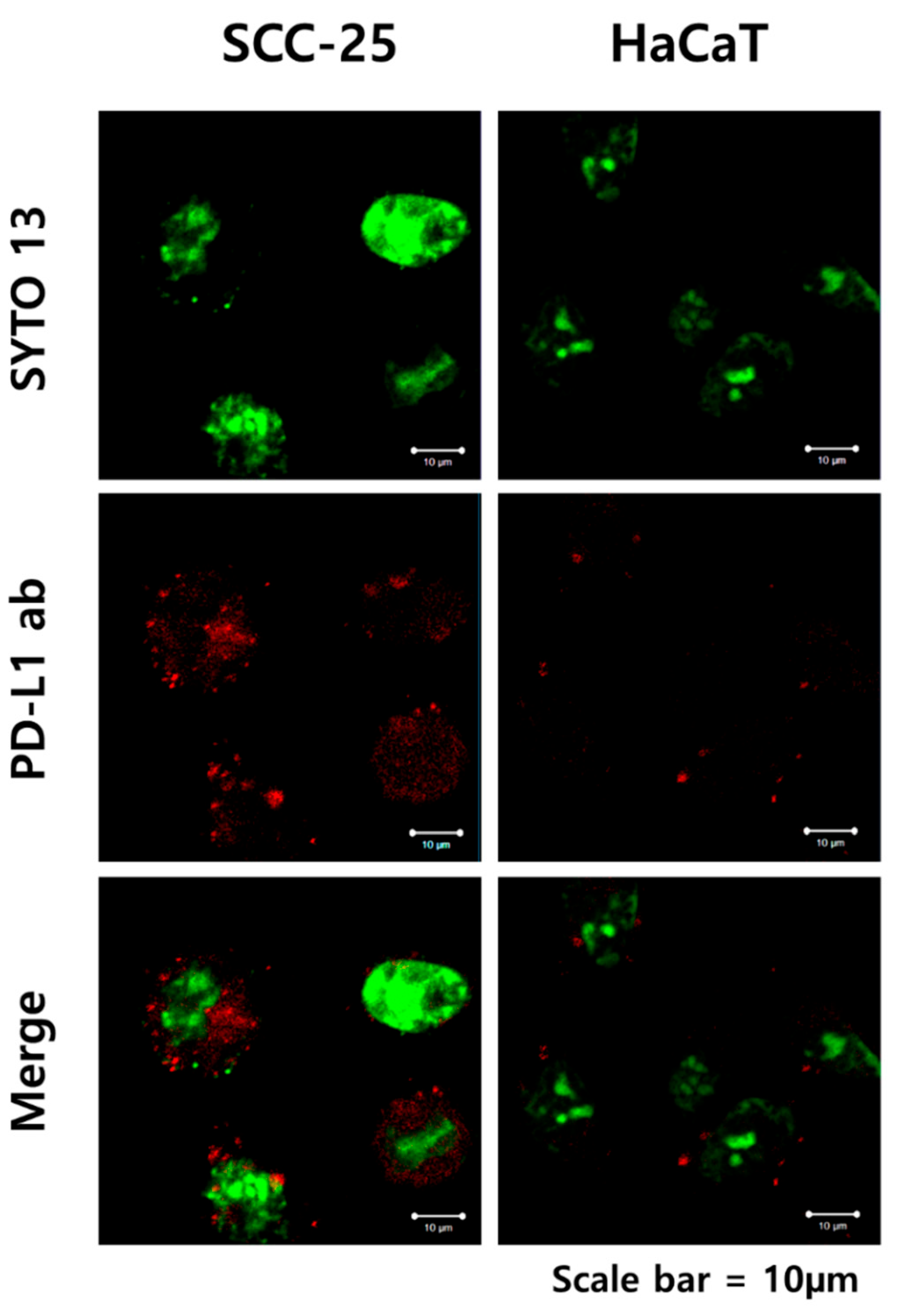 Applsci 11 04559 g003 Applsci 11 04559 g003