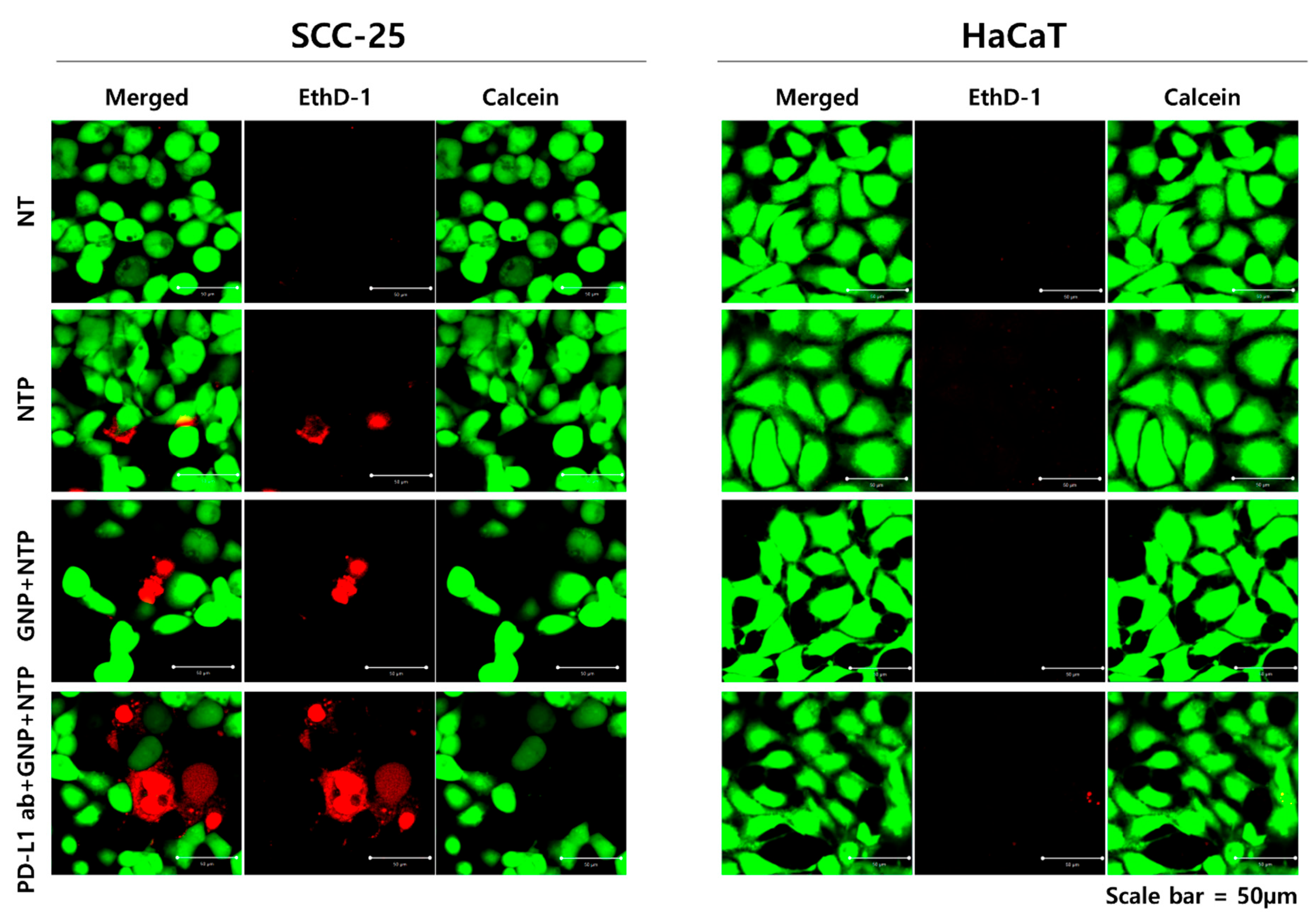 Applsci 11 04559 g005 Applsci 11 04559 g005