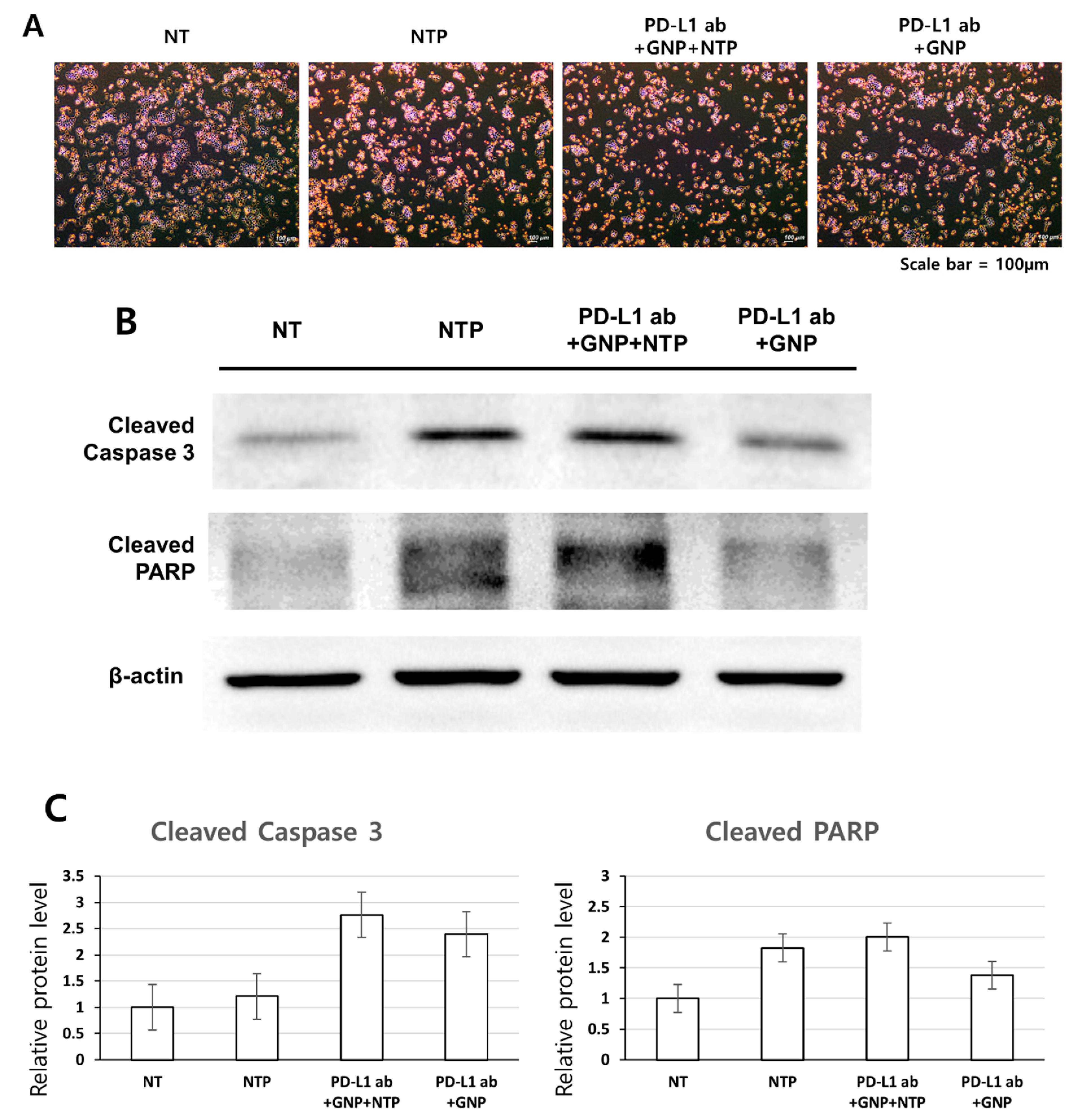 Applsci 11 04559 g006 Applsci 11 04559 g006