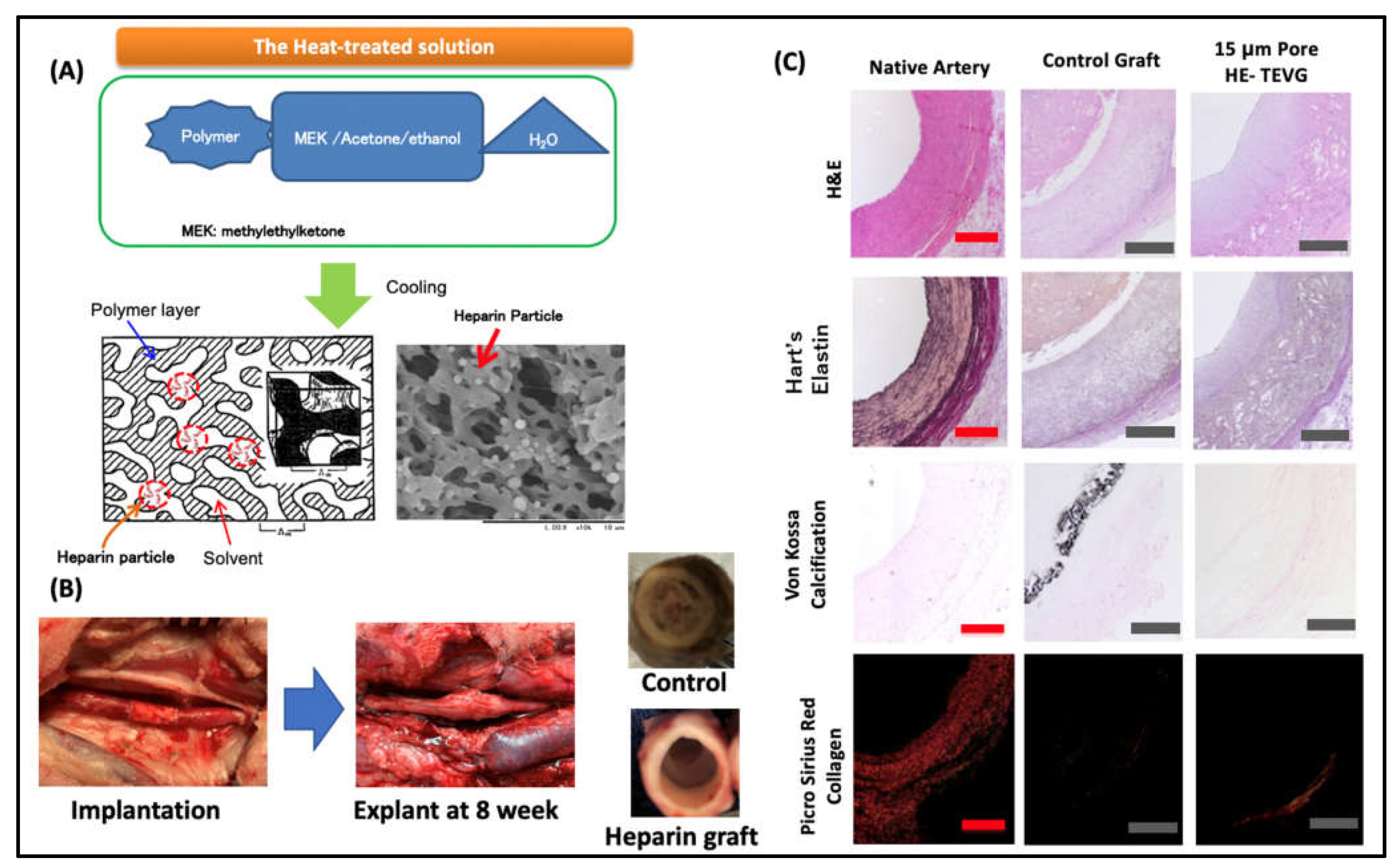 Applsci 11 04563 g001 Applsci 11 04563 g001