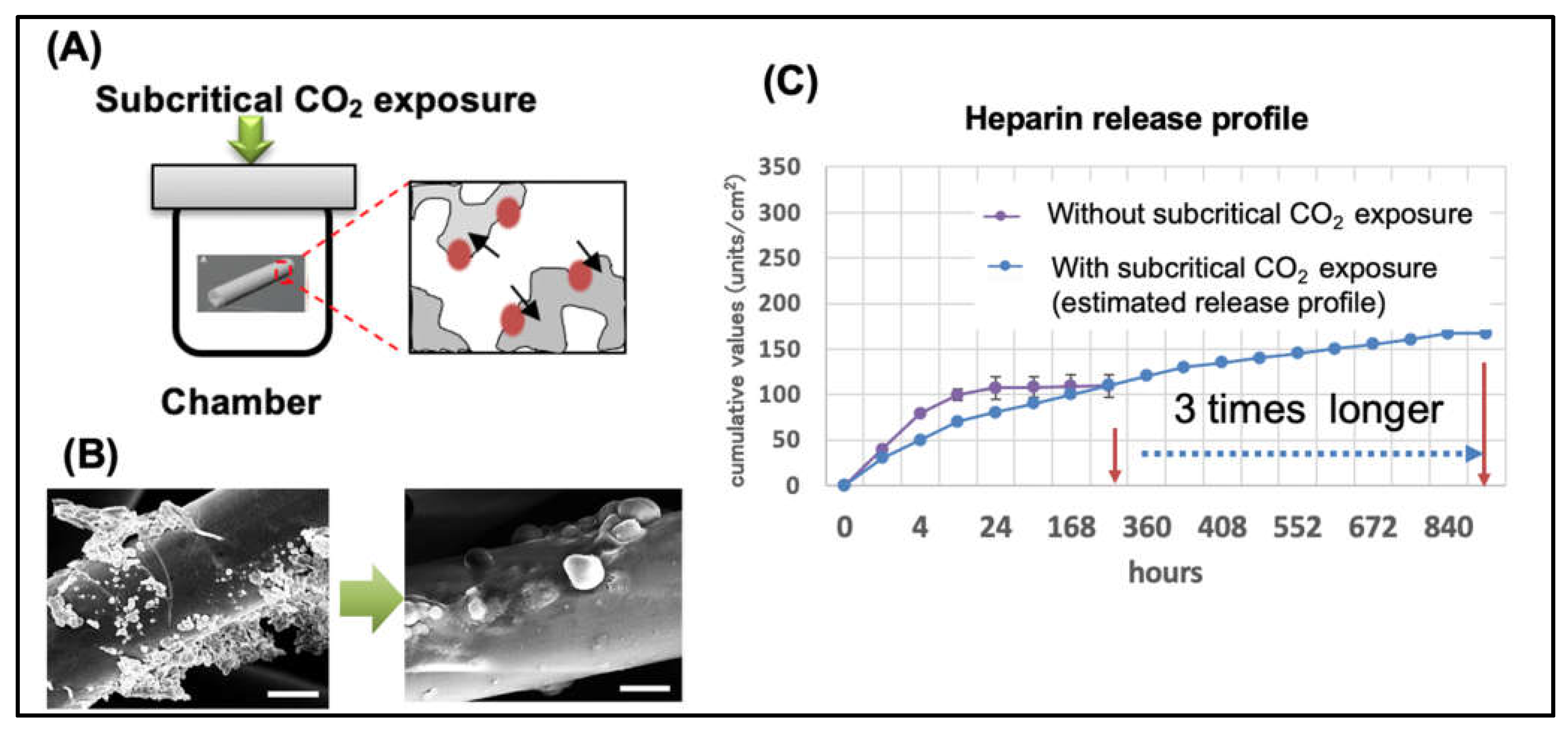 Applsci 11 04563 g002 Applsci 11 04563 g002