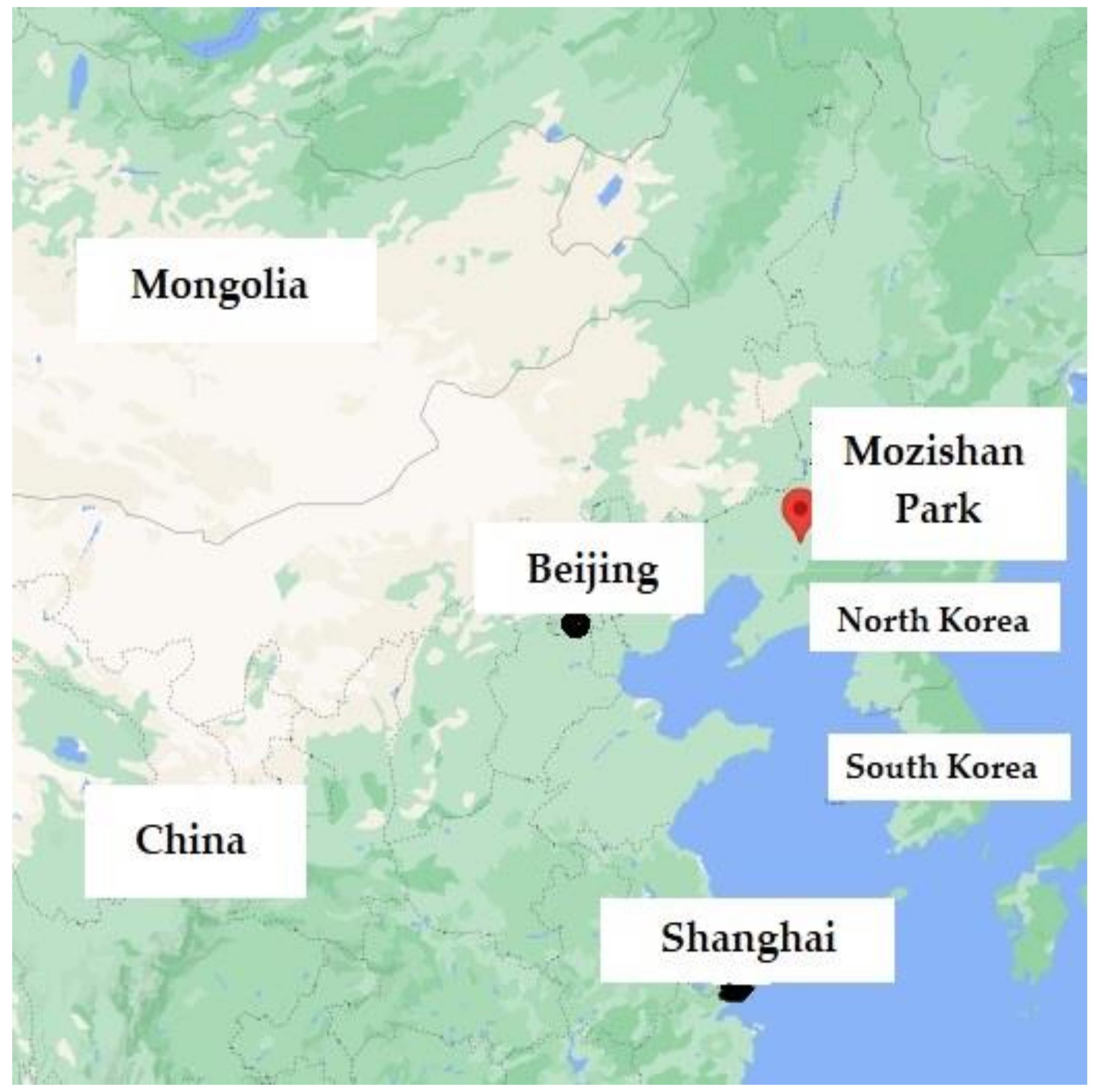 Applsci 11 04568 g002 Applsci 11 04568 g002