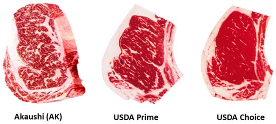 Beef Quality Grade Classification Based on Intramuscular Fat 