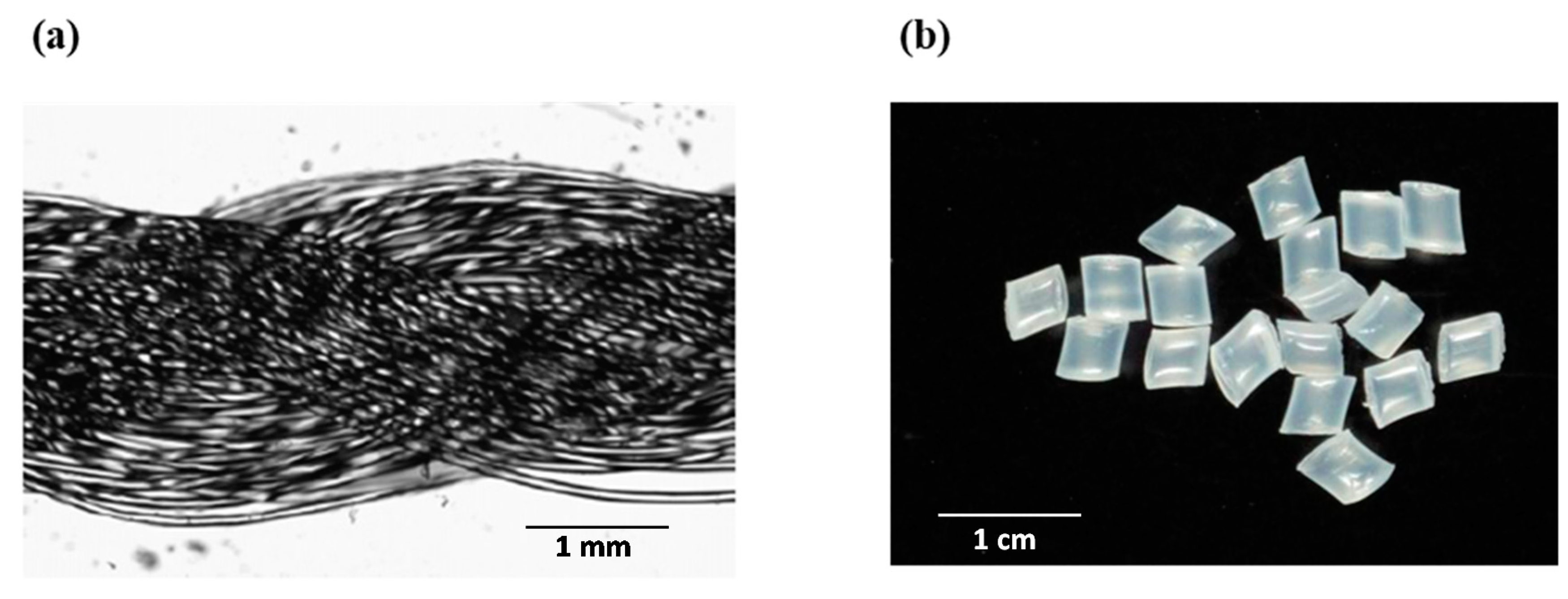 Applsci 11 04591 g003