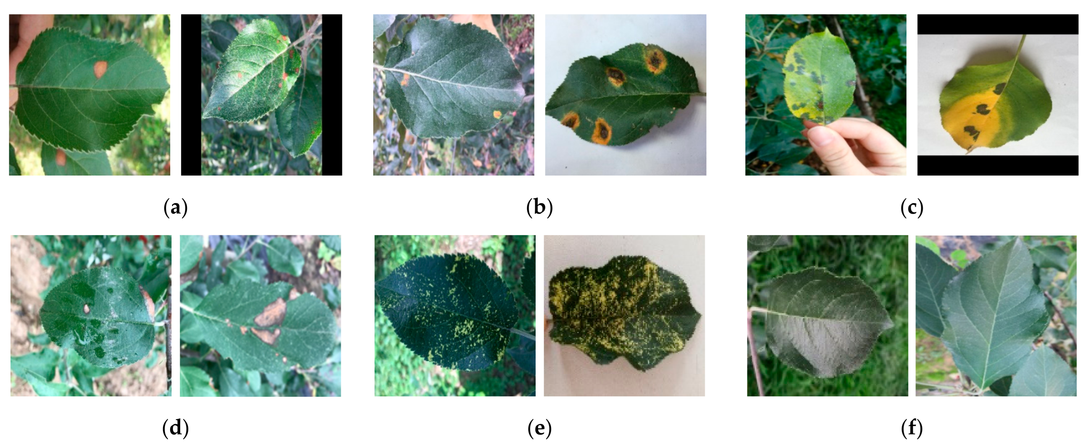 Applsci 11 04614 g001