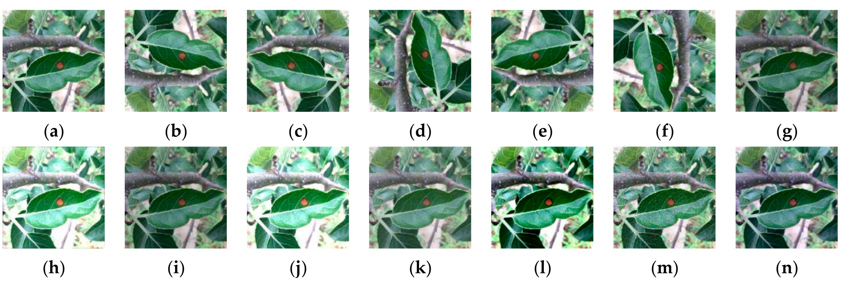 Applsci 11 04614 g002