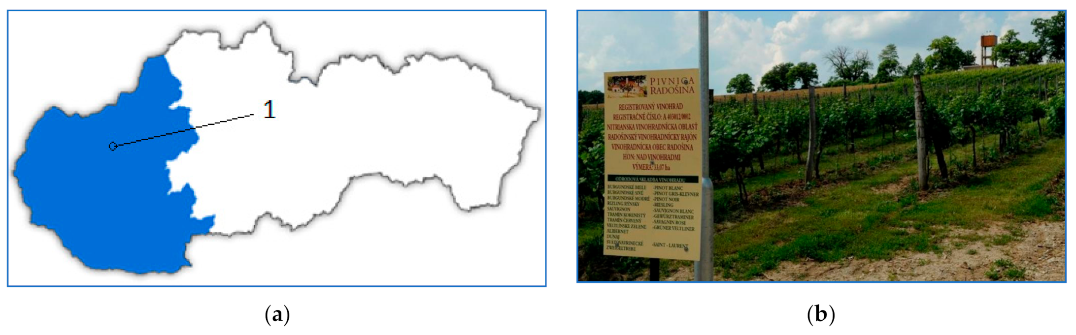 Applsci 11 04621 g001