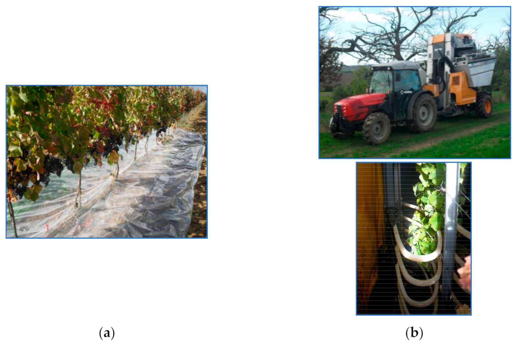 Applsci 11 04621 g002