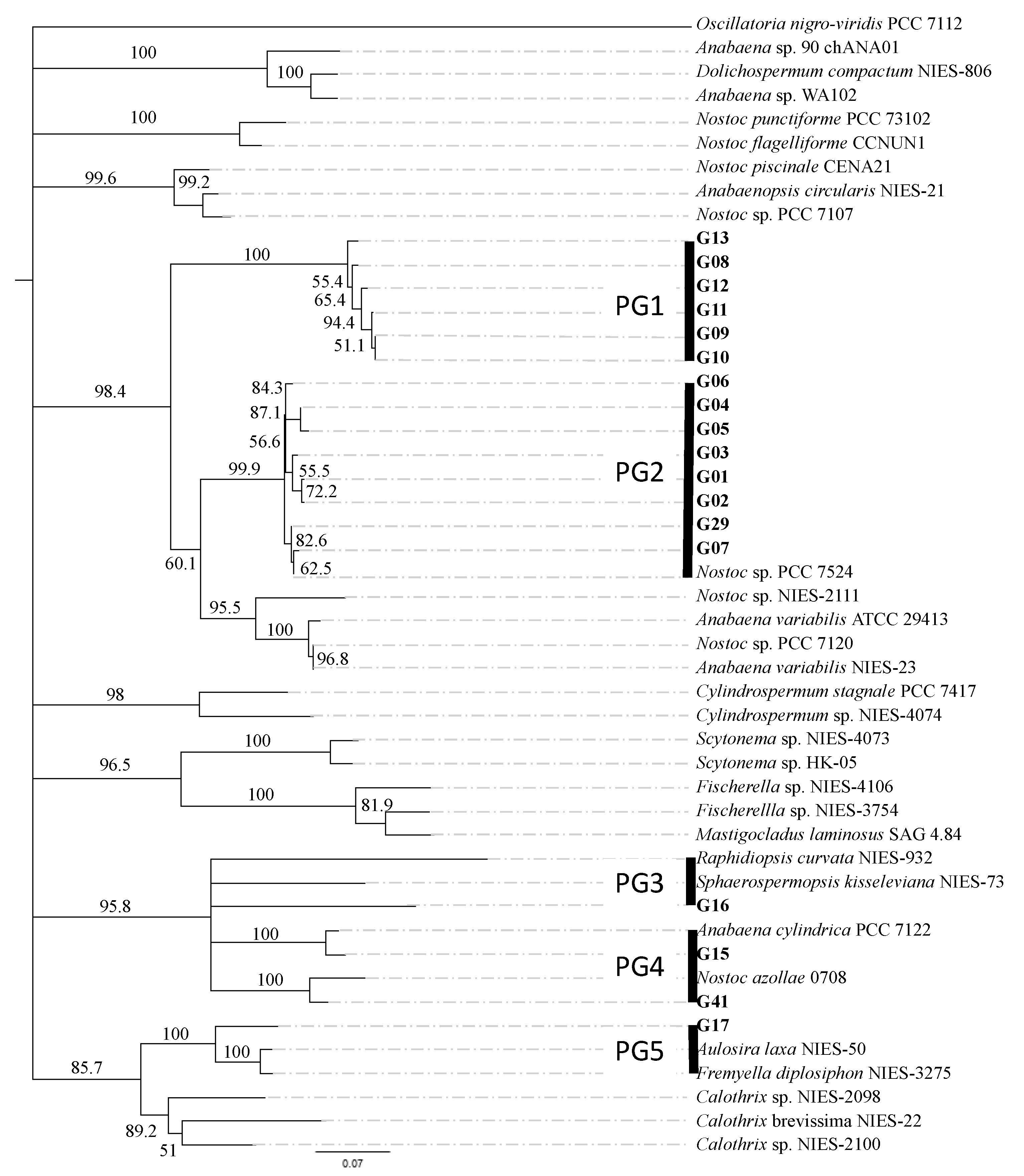 Applsci 11 04628 g003