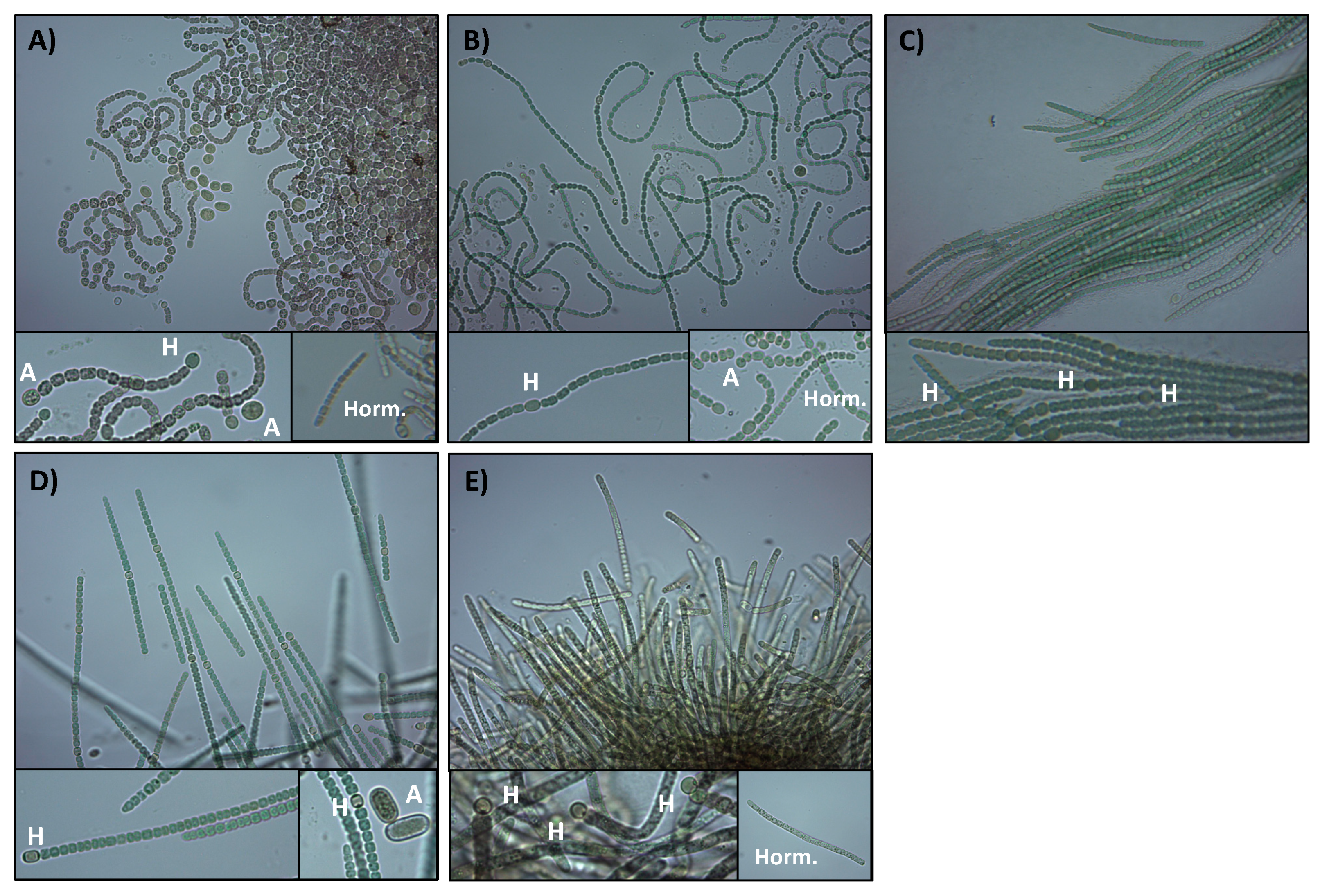 Applsci 11 04628 g004