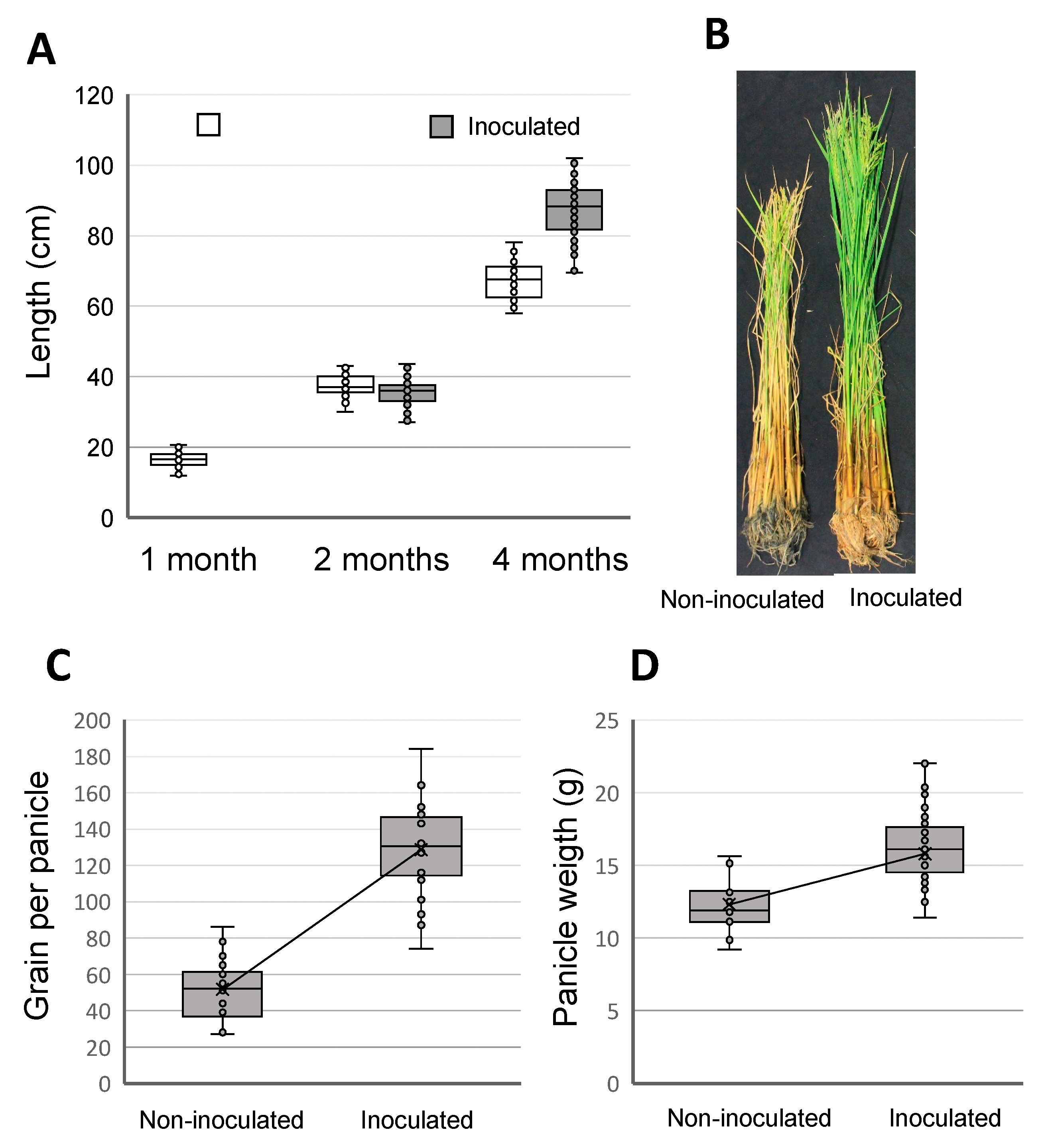 Applsci 11 04628 g005