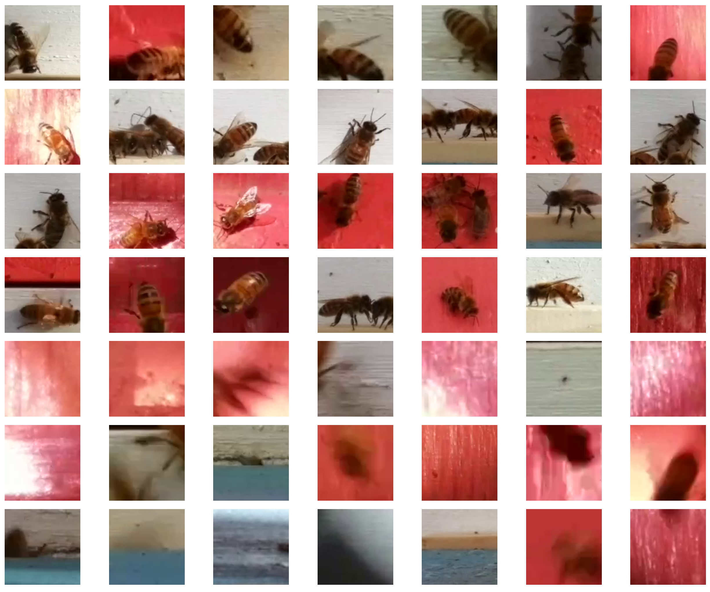 Applsci 11 04632 g006