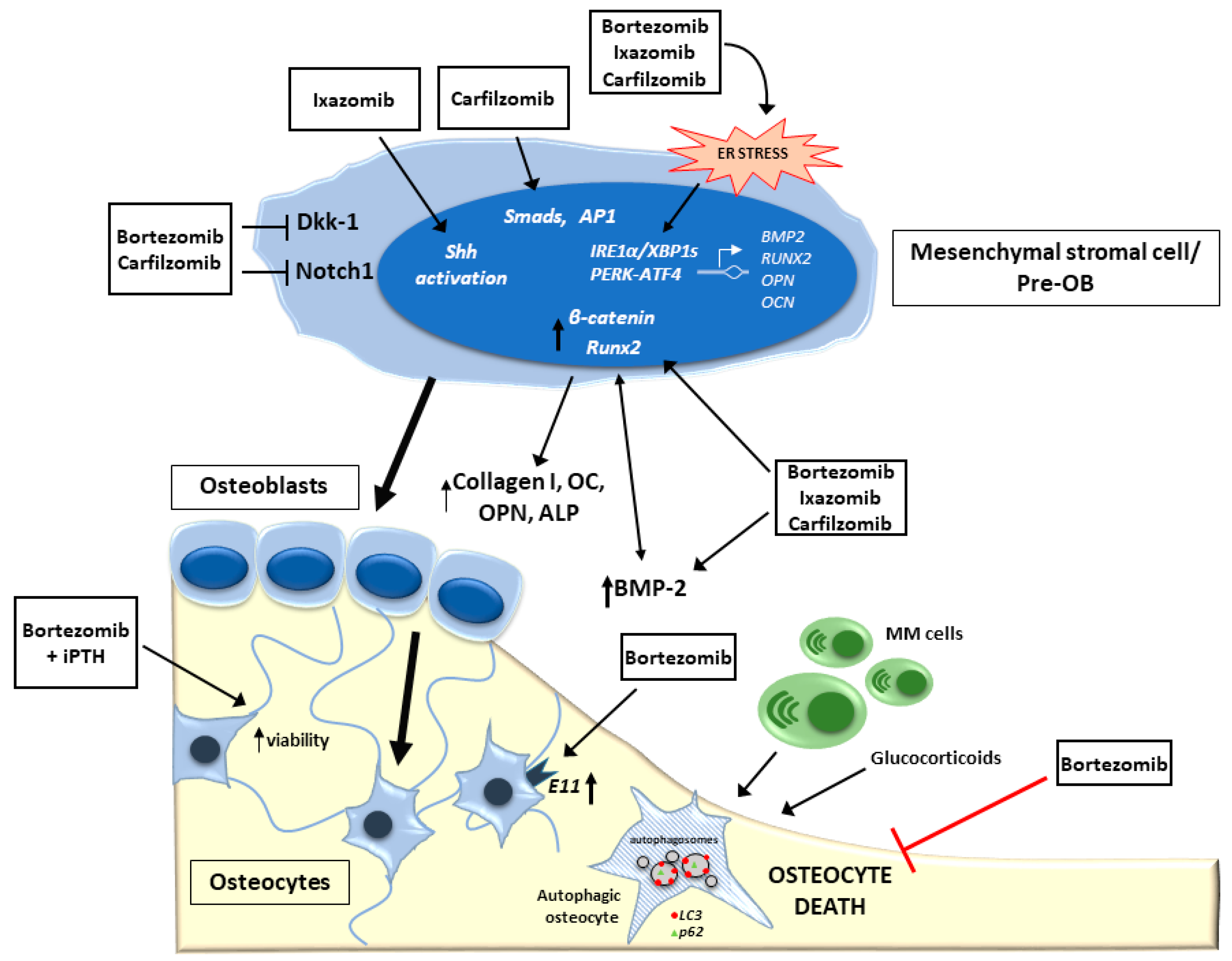 Applsci 11 04642 g002