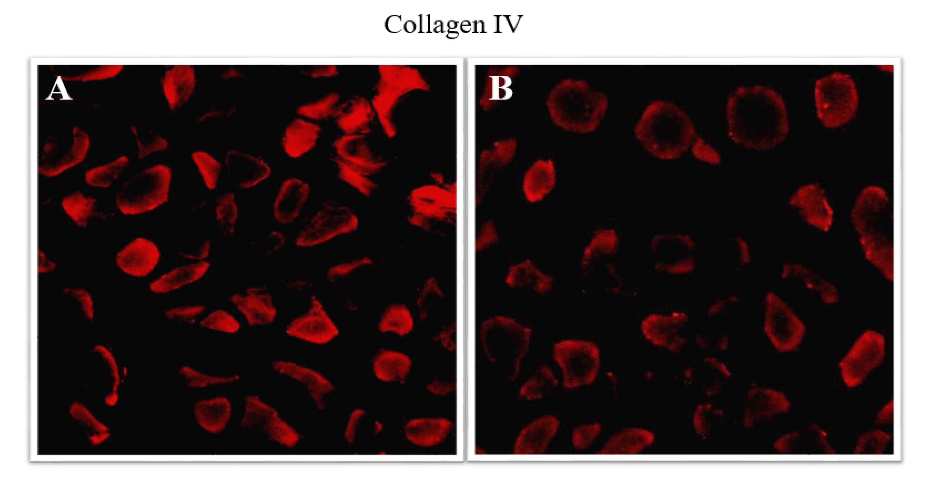 Applsci 11 04649 g002 Applsci 11 04649 g002