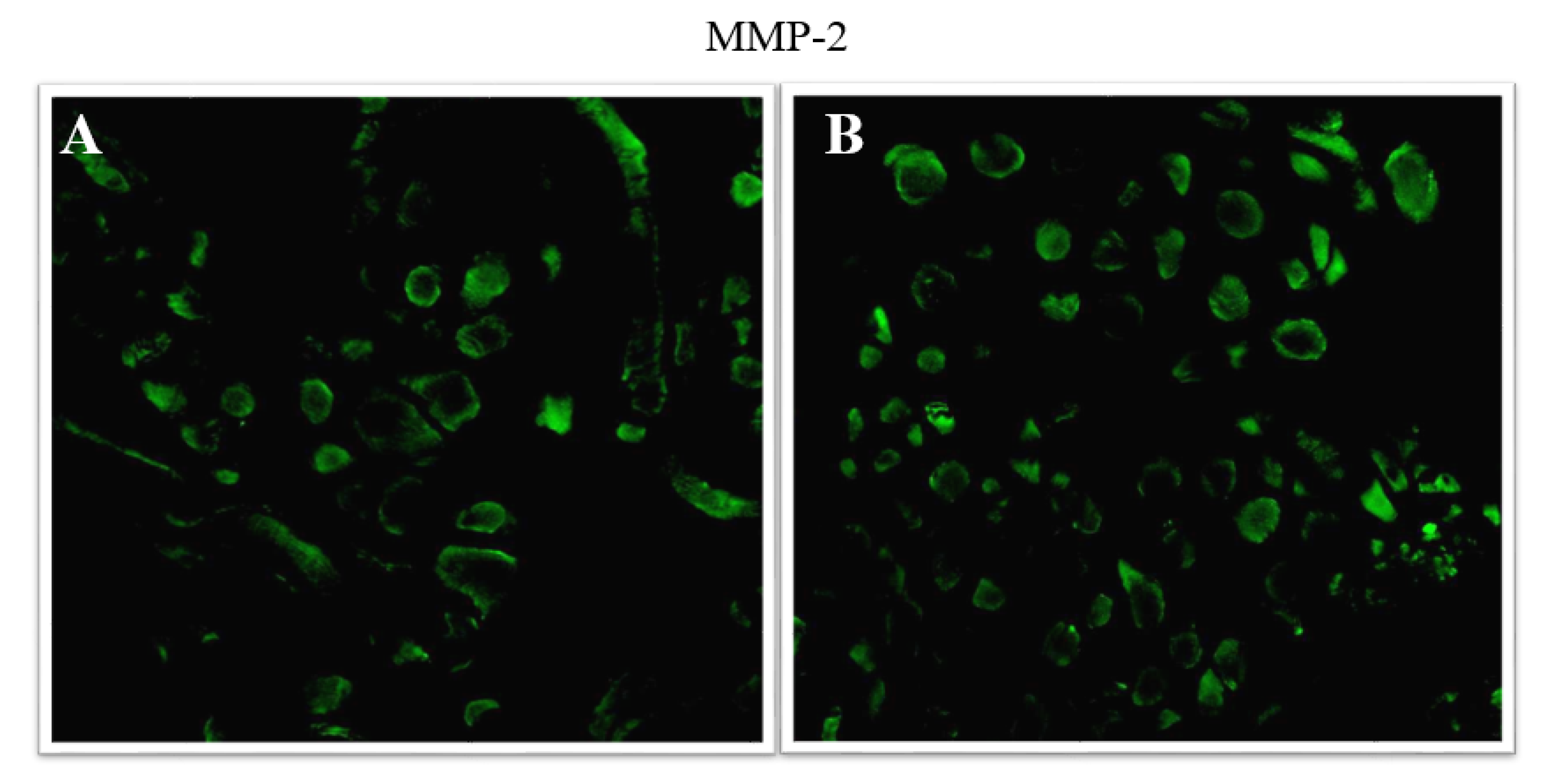 Applsci 11 04649 g003 Applsci 11 04649 g003