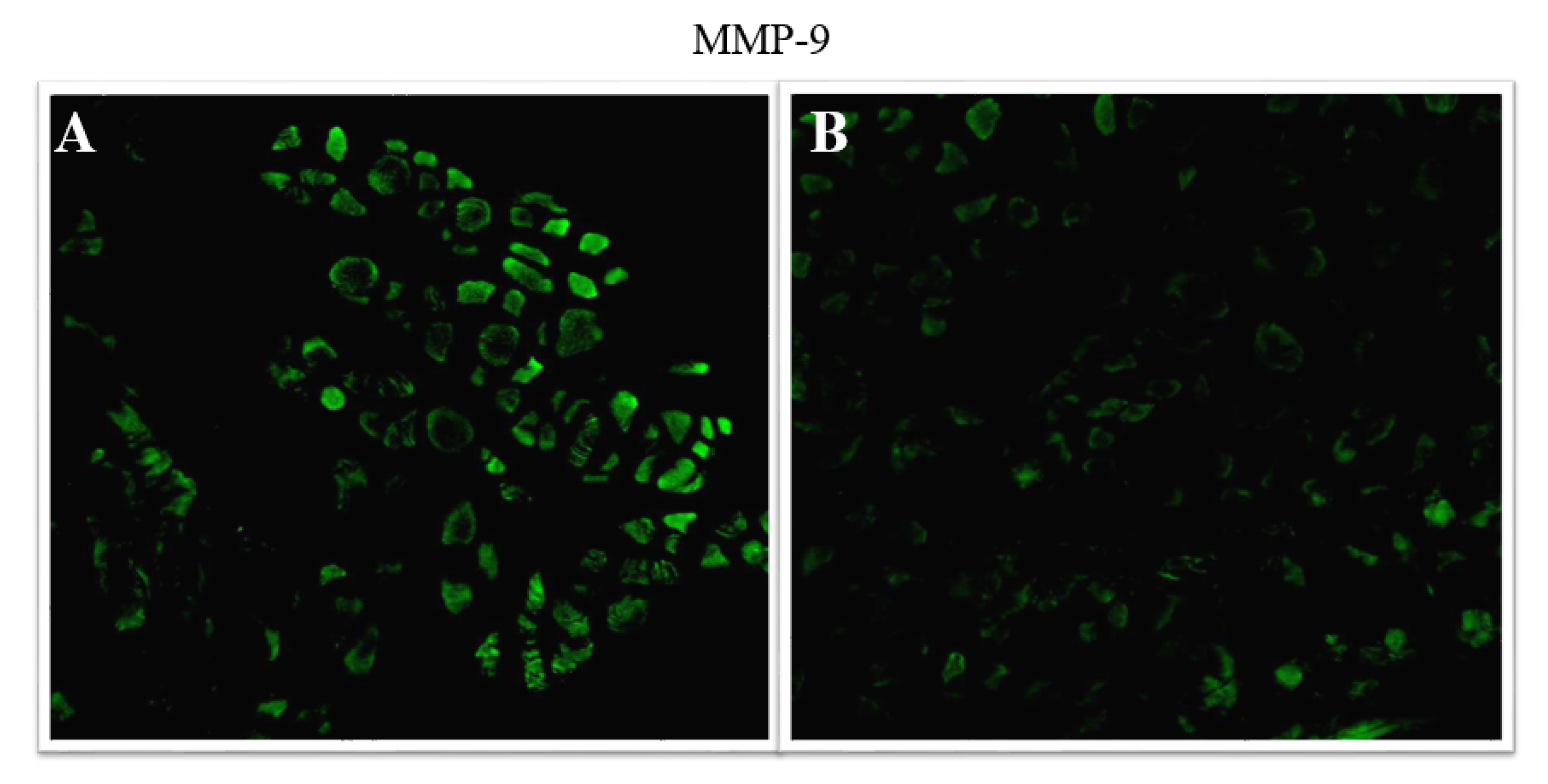 Applsci 11 04649 g004 Applsci 11 04649 g004
