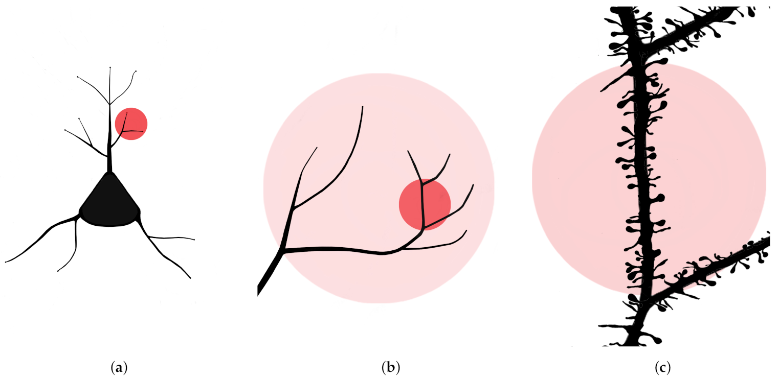 Applsci 11 04652 g001